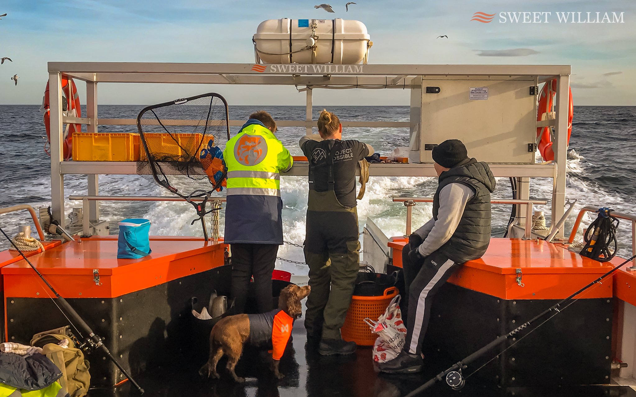 Monster Ling, Cod, Scad, Horse Mackerel, Whiting, Pouting and Mackerel off the Tyne Wrecks today aboard Sweet William.