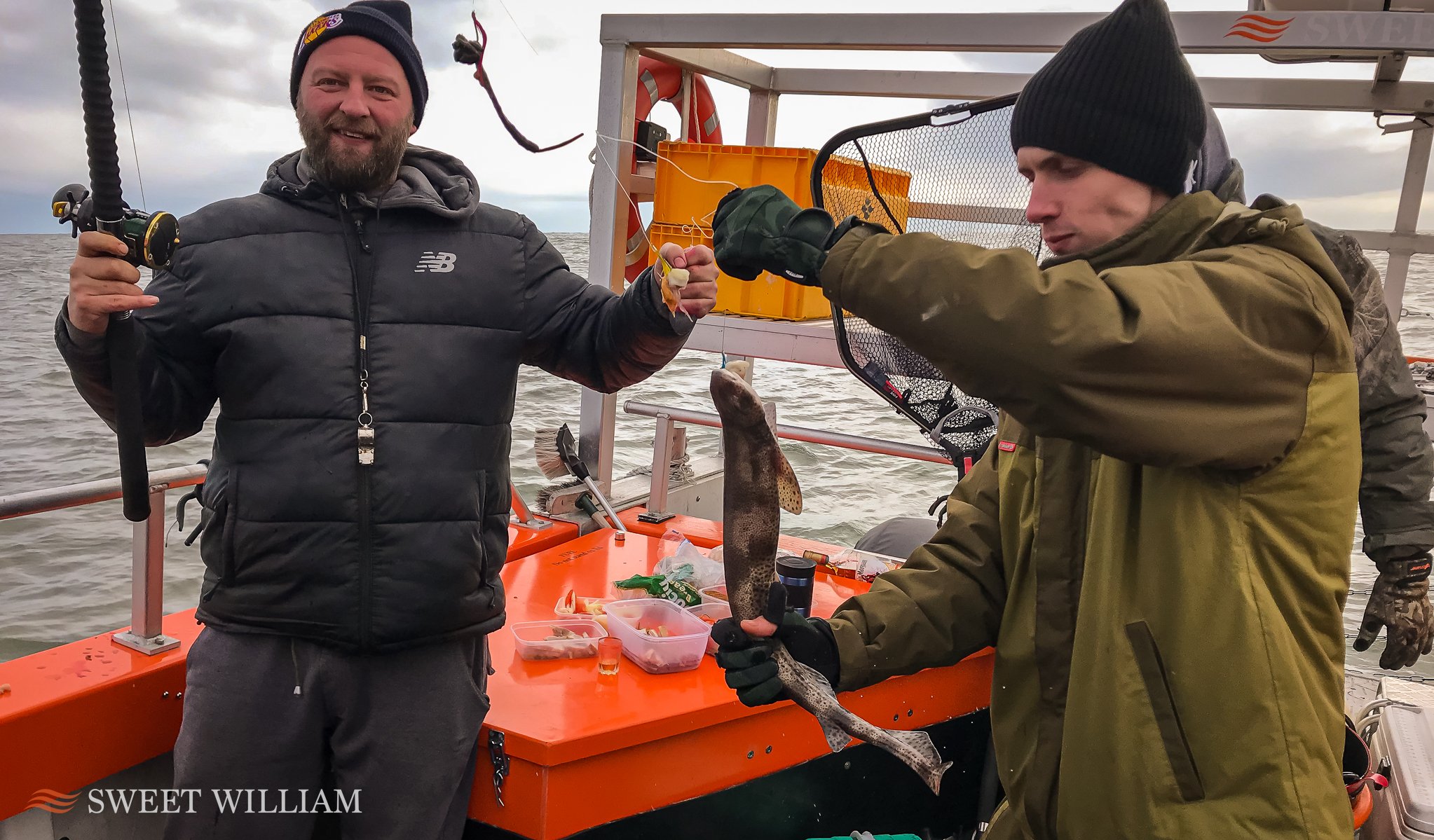 Codling, dogfish, whiting, pouting aboard Sweet William Charter Boat on the Tyne
