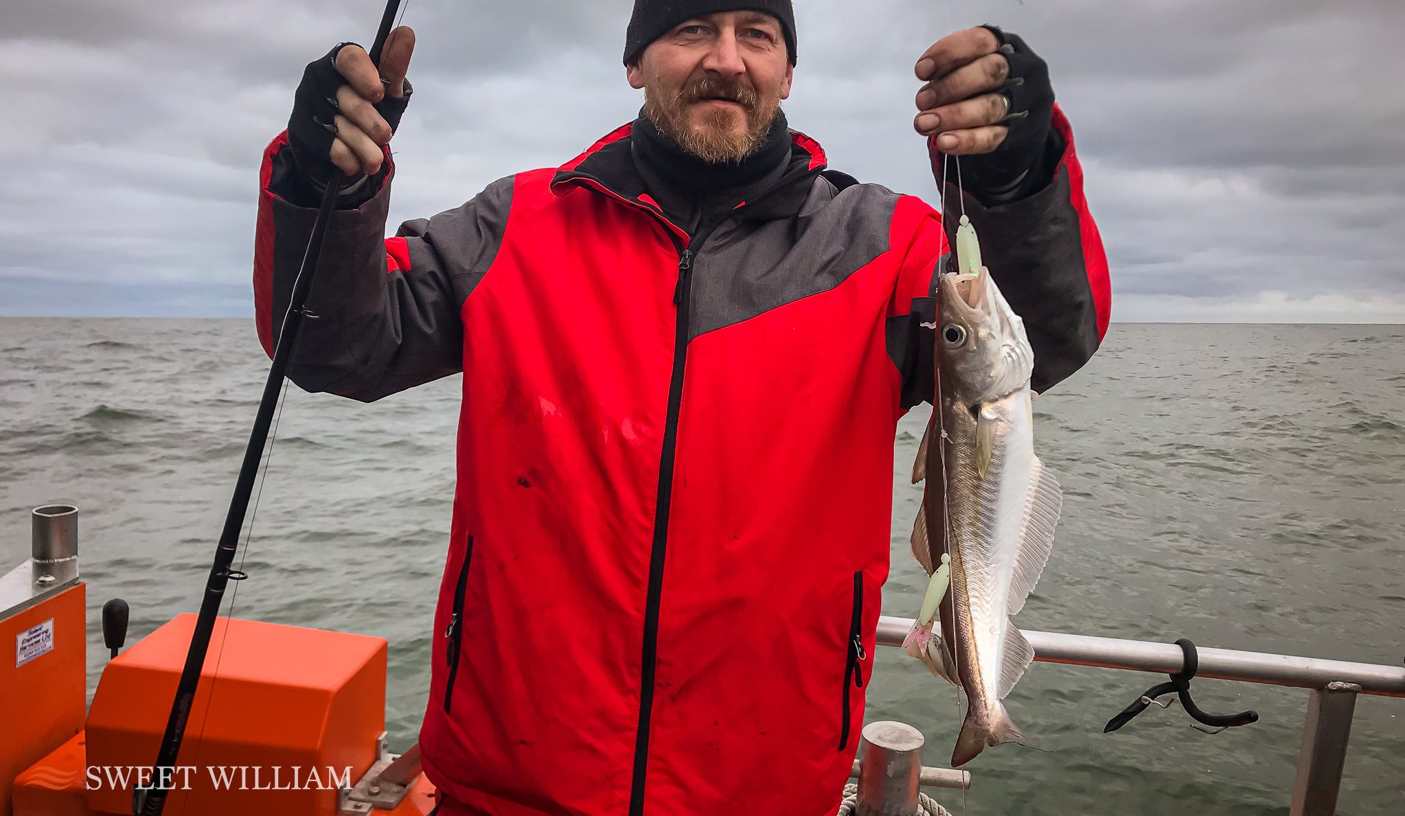 Codling, dogfish, whiting, pouting aboard Sweet William Charter Boat on the Tyne
