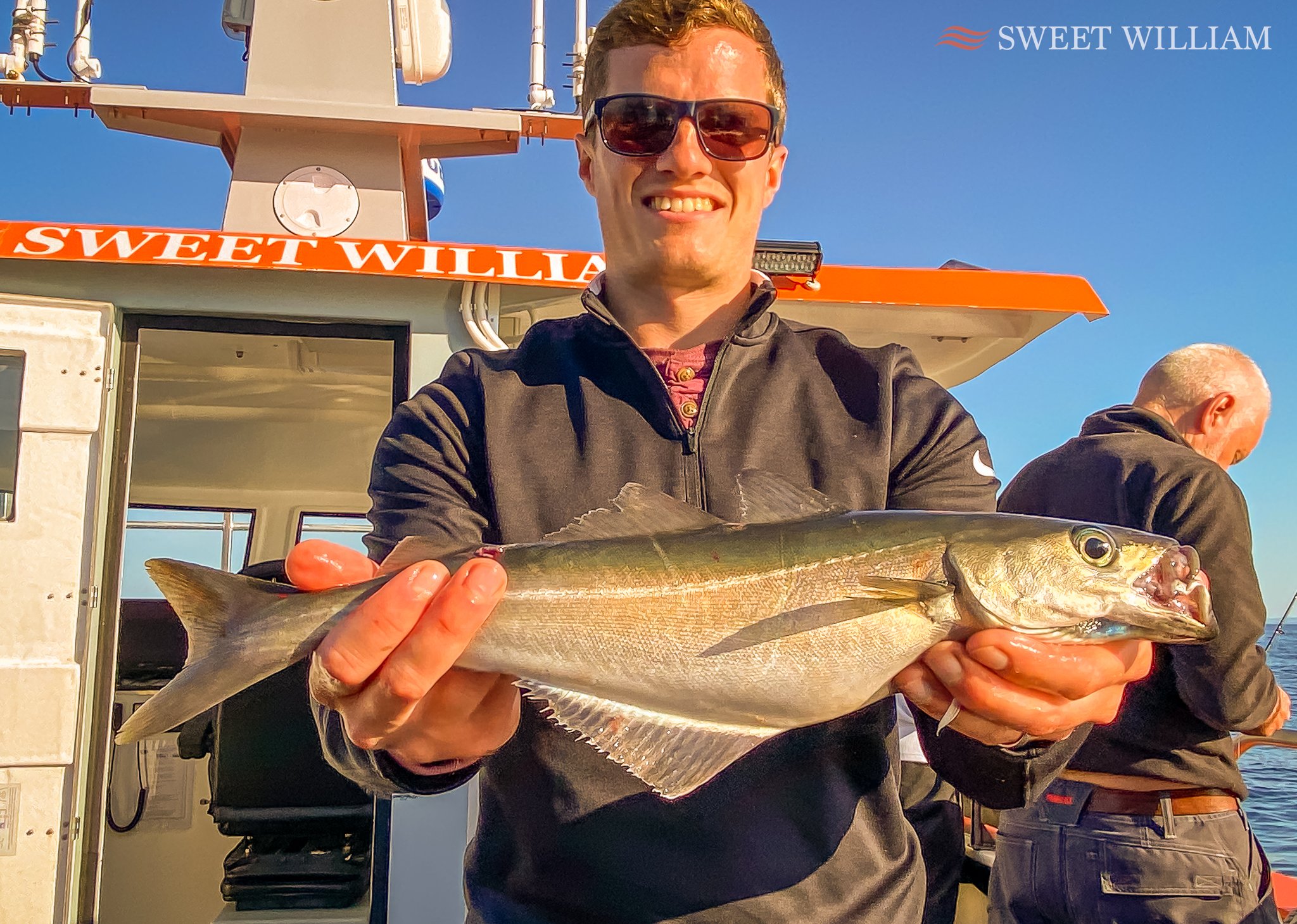 Stunning sunset and some lovely codling with Billy's Fishing