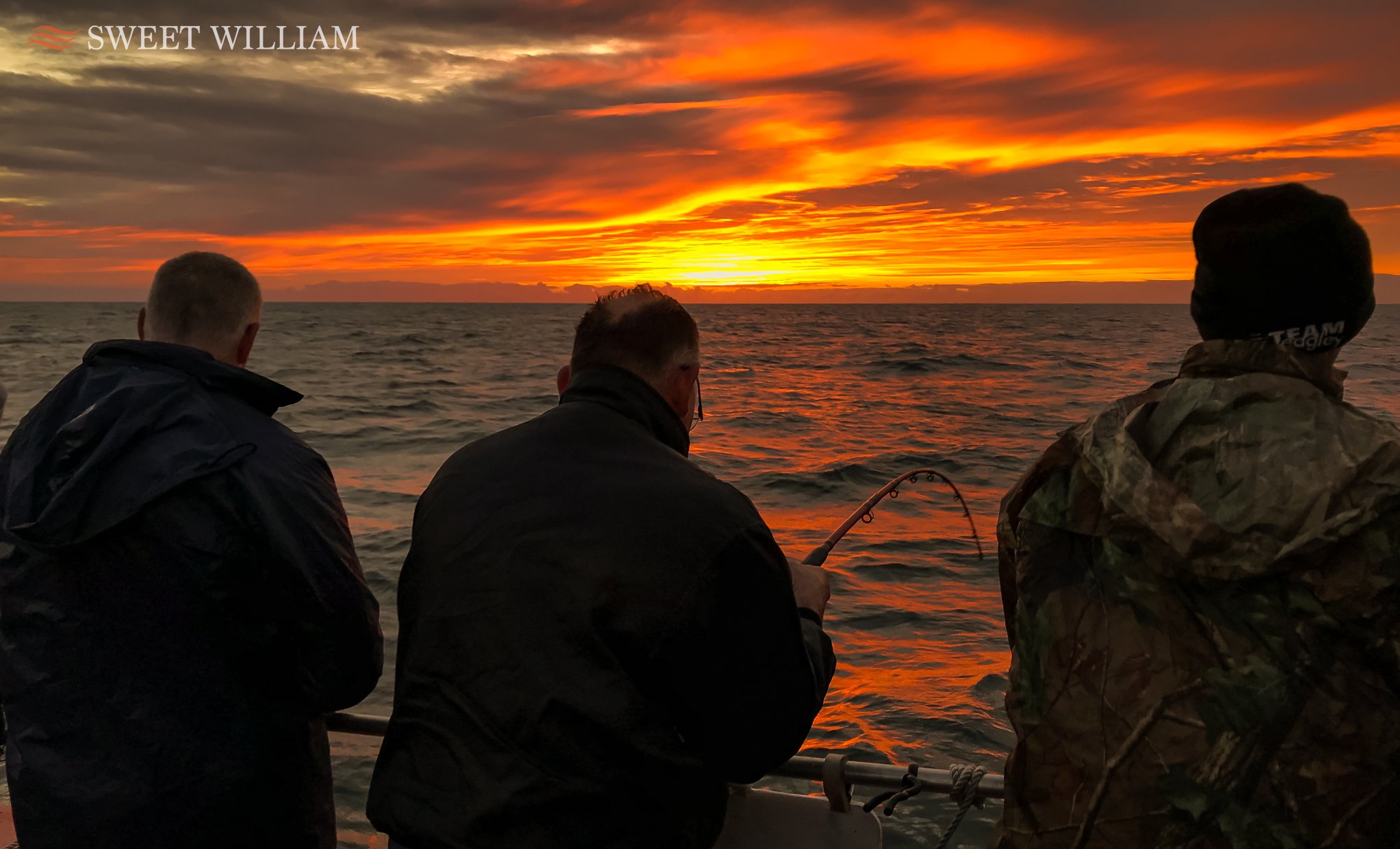 Sweet William Charter Boat, River Tyne, Wreck, Fishing, Angling, Cod, Ling, Pollock, Mackerel, Lobster, Crab, Photography, Dolphins, River Cruise, Newcastle Quayside, Millennium Bridge, Scattering Ashes, Sunrise, Sunset, Seaton Sluice Holiday Let, Ca