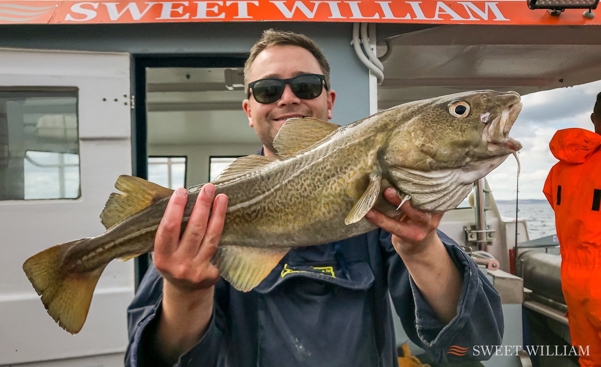 Sweet William Charter Boat, River Tyne, Wreck, Fishing, Angling, Cod, Ling, Pollock, Mackerel, Lobster, Crab, Photography, Dolphins, River Cruise, Newcastle Quayside, Millennium Bridge, Scattering Ashes, Sunrise, Sunset, Seaton Sluice Holiday Let, Ca