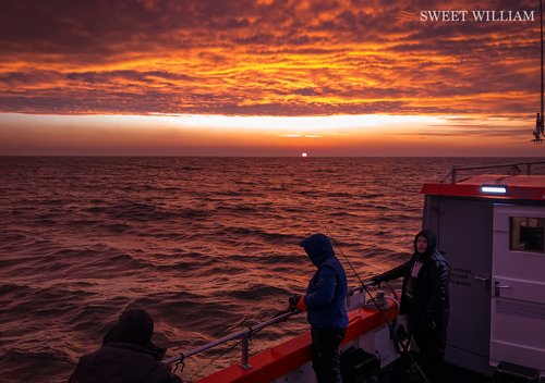 Sweet William Charter Boat, River Tyne, Wreck, Fishing, Angling, Cod, Ling, Pollock, Mackerel, Lobster, Crab, Photography, Dolphins, River Cruise, Newcastle Quayside, Millennium Bridge, Scattering Ashes, Sunrise, Sunset, Seaton Sluice Holiday Let, Ca