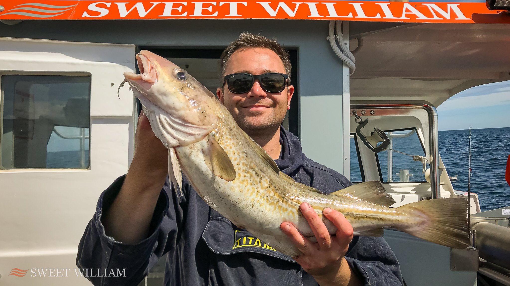 Sweet William Charter Boat, River Tyne, Wreck, Fishing, Angling, Cod, Ling, Pollock, Mackerel, Lobster, Crab, Photography, Dolphins, River Cruise, Newcastle Quayside, Millennium Bridge, Scattering Ashes, Sunrise, Sunset, Seaton Sluice Holiday Let, Ca