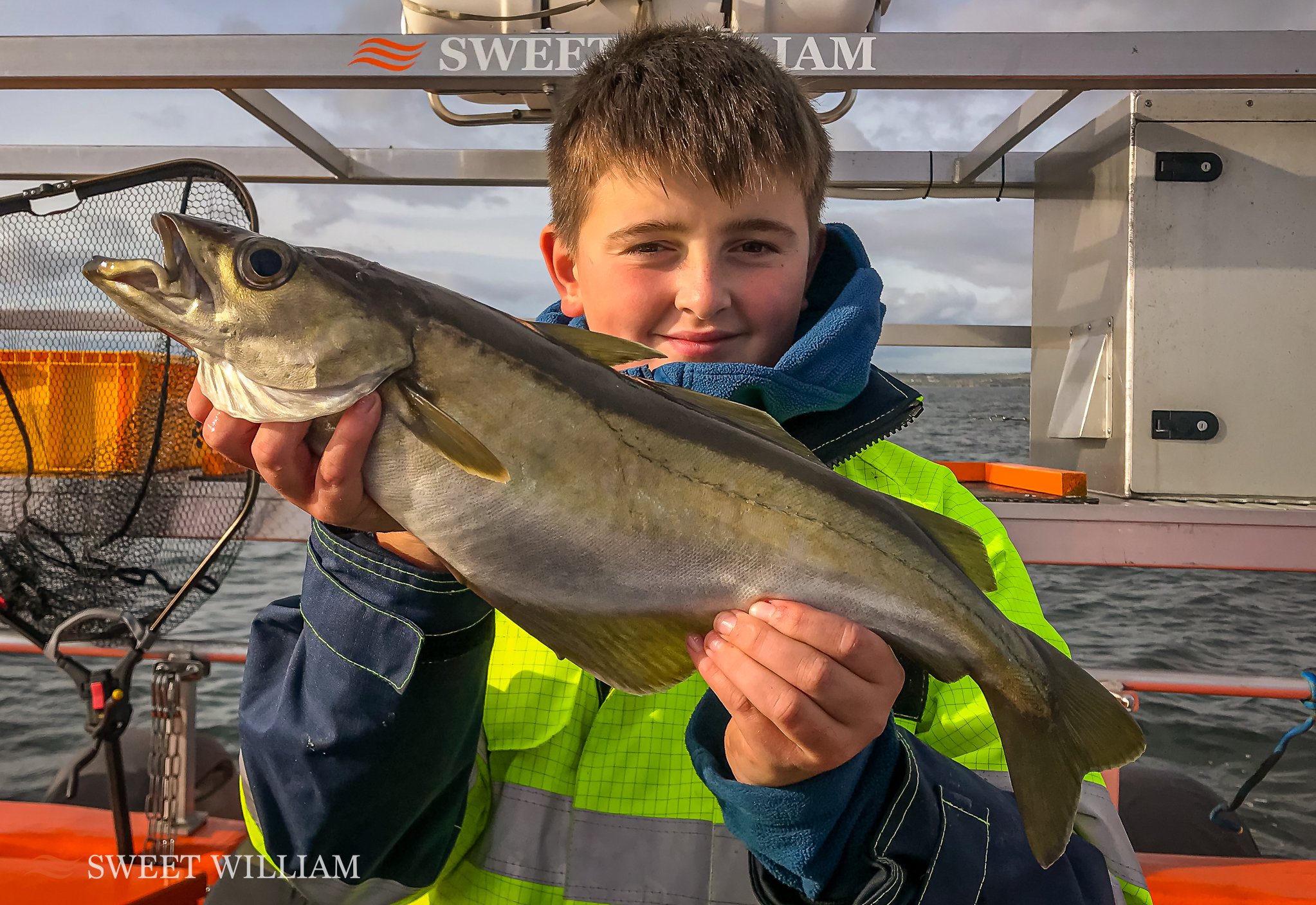 Sweet William Charter Boat, River Tyne, Wreck, Fishing, Angling, Cod, Ling, Pollock, Mackerel, Lobster, Crab, Photography, Dolphins, River Cruise, Newcastle Quayside, Millennium Bridge, Scattering Ashes, Sunrise, Sunset, Seaton Sluice Holiday Let, Ca
