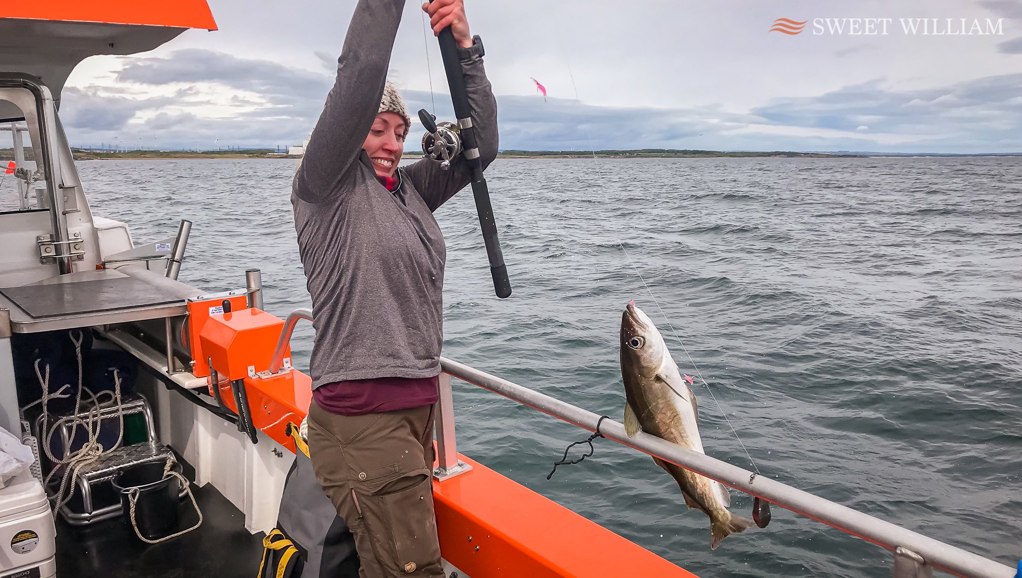 Sweet William Charter Boat, River Tyne, Wreck, Fishing, Angling, Cod, Ling, Pollock, Mackerel, Lobster, Crab, Photography, Dolphins, River Cruise, Newcastle Quayside, Millennium Bridge, Scattering Ashes, Sunrise, Sunset, Seaton Sluice Holiday Let, Ca