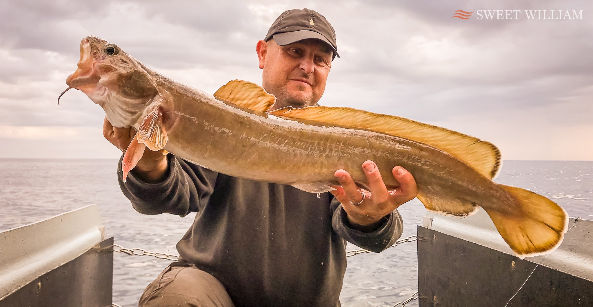 Sweet William Charter Boat, River Tyne, Wreck, Fishing, Angling, Cod, Ling, Pollock, Mackerel, Lobster, Crab, Photography, Dolphins, River Cruise, Newcastle Quayside, Millennium Bridge, Scattering Ashes, Sunrise, Sunset, Seaton Sluice Holiday Let, Ca