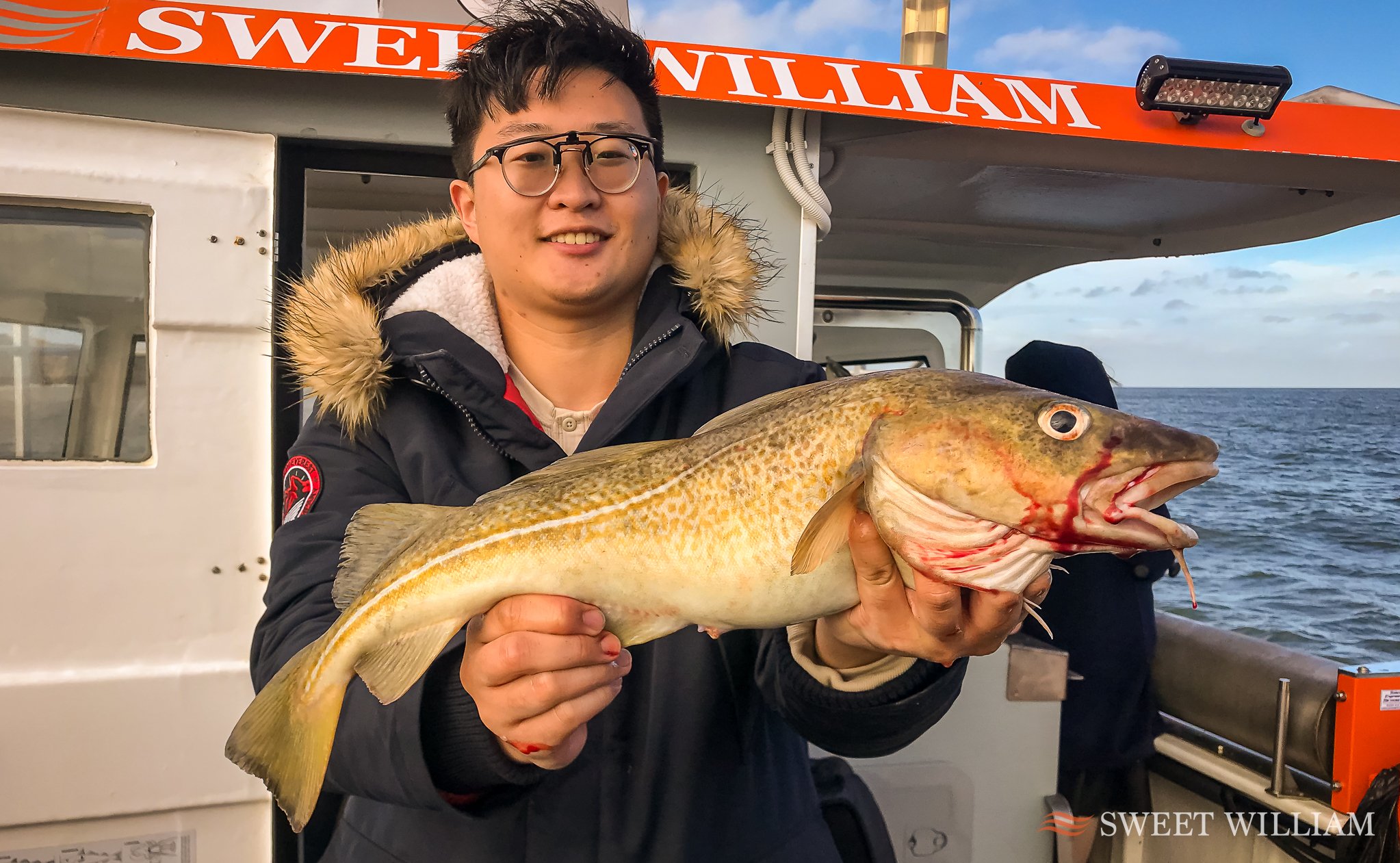 Sweet William Charter Boat, River Tyne, Wreck, Fishing, Angling, Cod, Ling, Pollock, Mackerel, Lobster, Crab, Photography, Dolphins, River Cruise, Newcastle Quayside, Millennium Bridge, Scattering Ashes, Sunrise, Sunset, Seaton Sluice Holiday Let, Ca