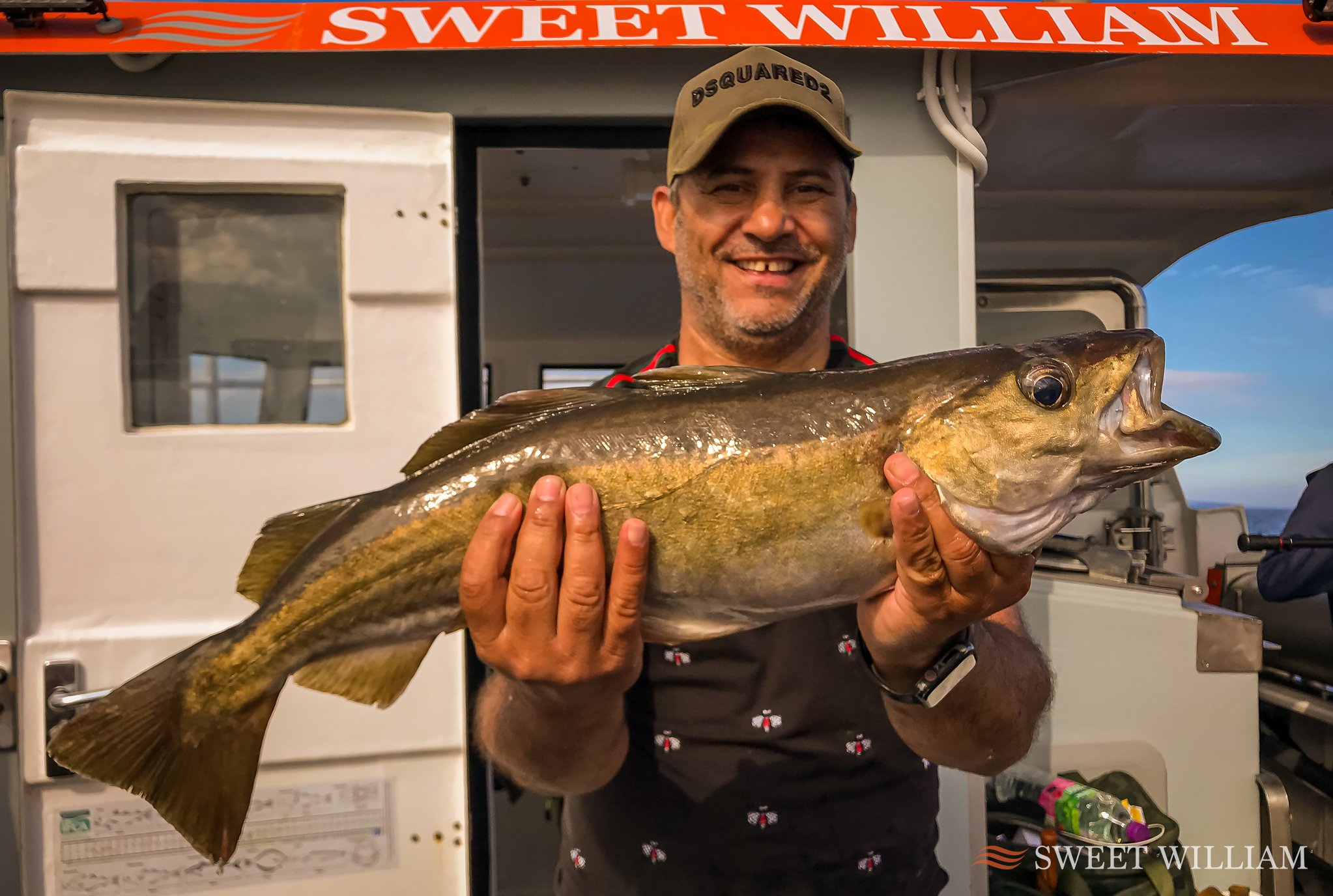 Sweet William Charter Boat, River Tyne, Wreck, Fishing, Angling, Cod, Ling, Pollock, Mackerel, Lobster, Crab, Photography, Dolphins, River Cruise, Newcastle Quayside, Millennium Bridge, Scattering Ashes, Sunrise, Sunset, Seaton Sluice Holiday Let, Ca
