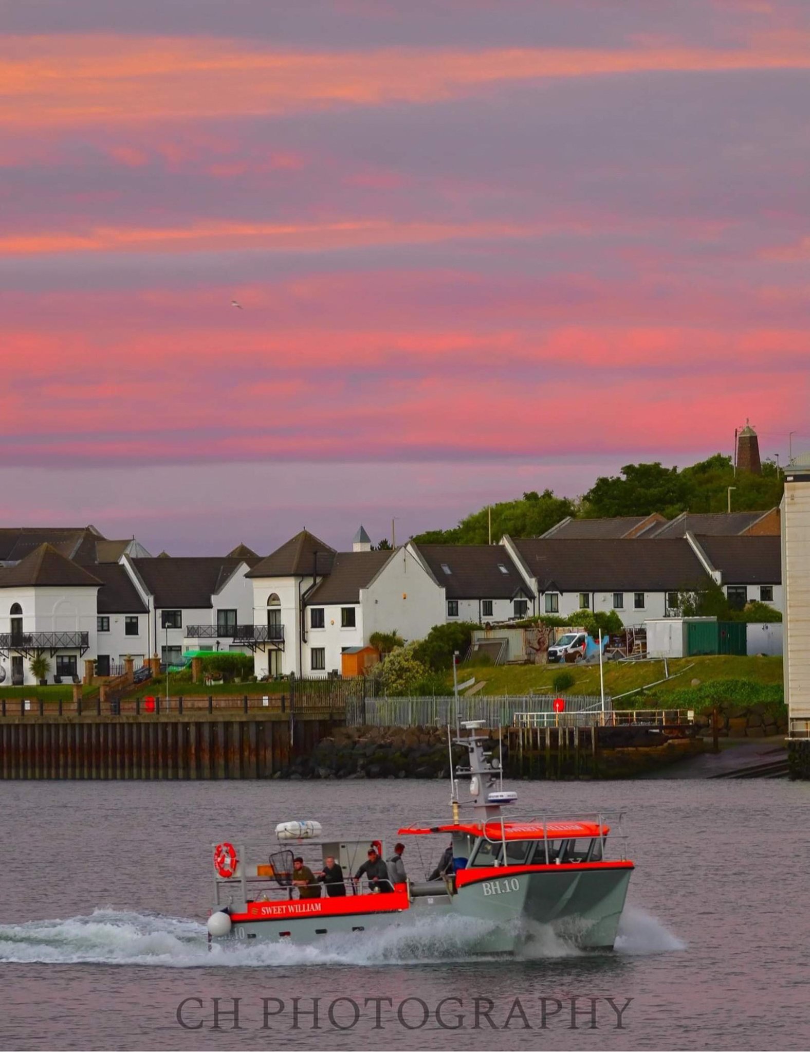 Sweet William Charter Boat, River Tyne, Wreck, Fishing, Angling, Cod, Ling, Pollock, Mackerel, Lobster, Crab, Photography, Dolphins, River Cruise, Newcastle Quayside, Millennium Bridge, Scattering Ashes, Sunrise, Sunset, Seaton Sluice Holiday Let, Ca