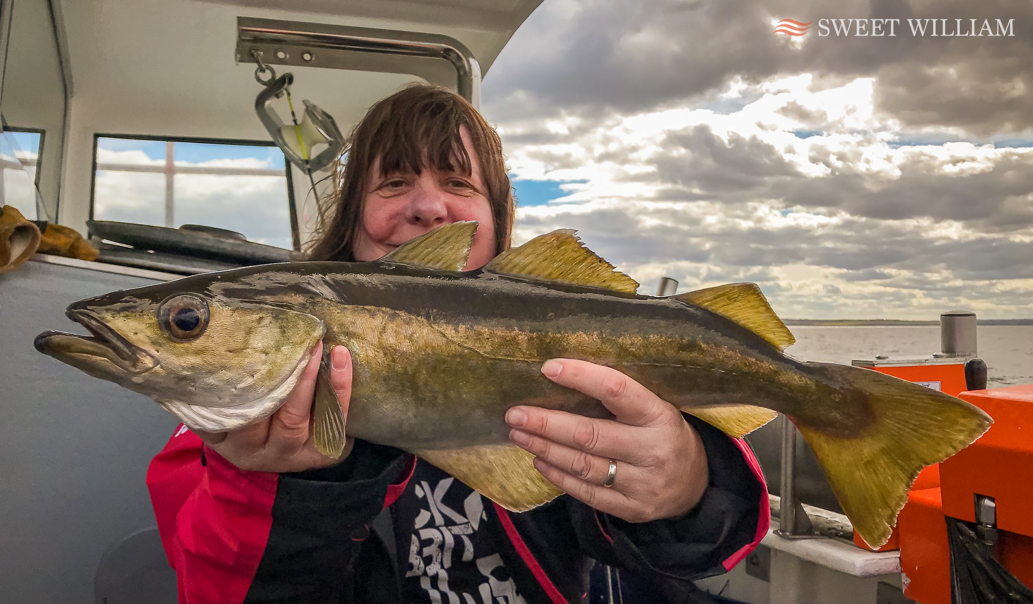 Sweet William Charter Boat, River Tyne, Wreck, Fishing, Angling, Cod, Ling, Pollock, Mackerel, Lobster, Crab, Photography, Dolphins, River Cruise, Newcastle Quayside, Millennium Bridge, Scattering Ashes, Sunrise, Sunset, Seaton Sluice Holiday Let, Ca