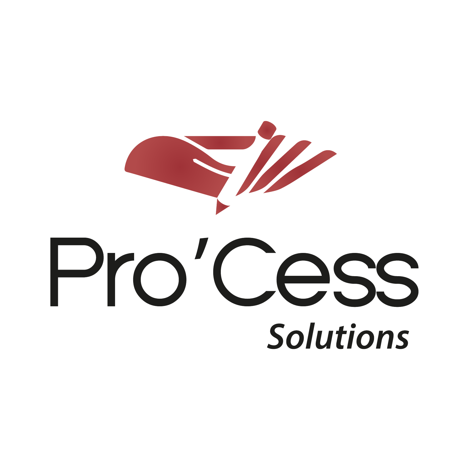 Pro&#39;Cess 