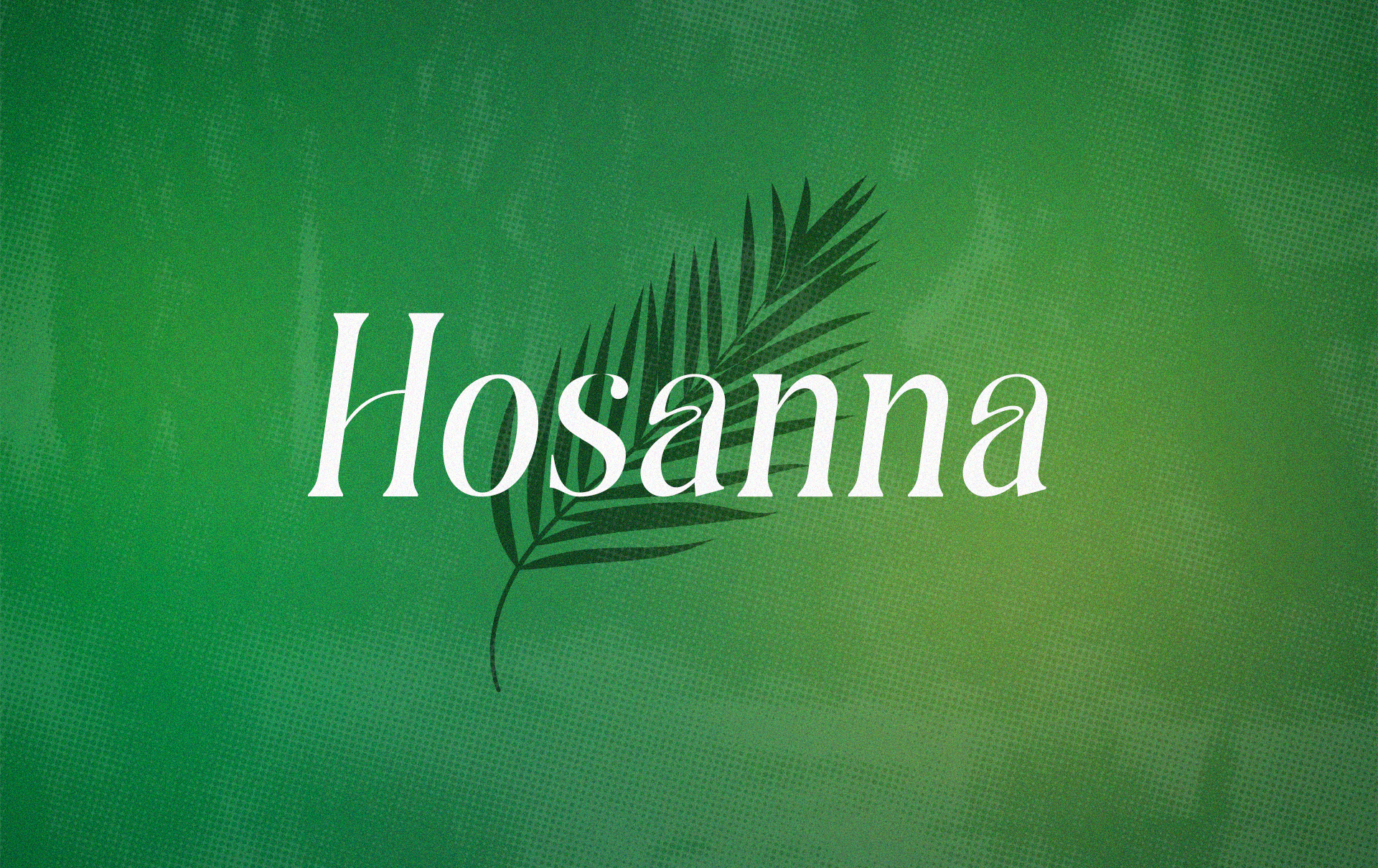The Triumph of Palm Sunday: Understanding the King Who Came in Peace