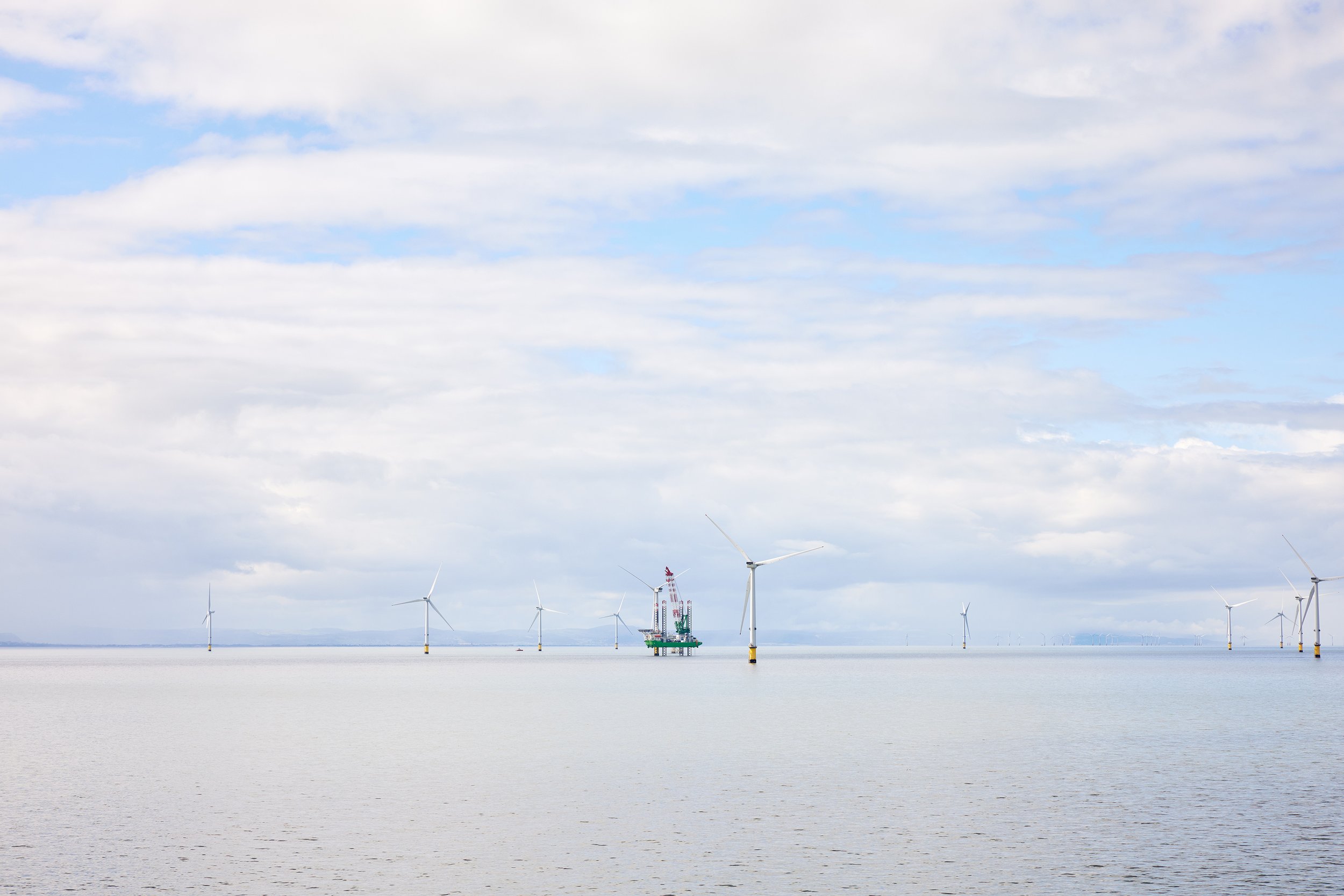 NIVist_August 2025__Capture_0221.jpg