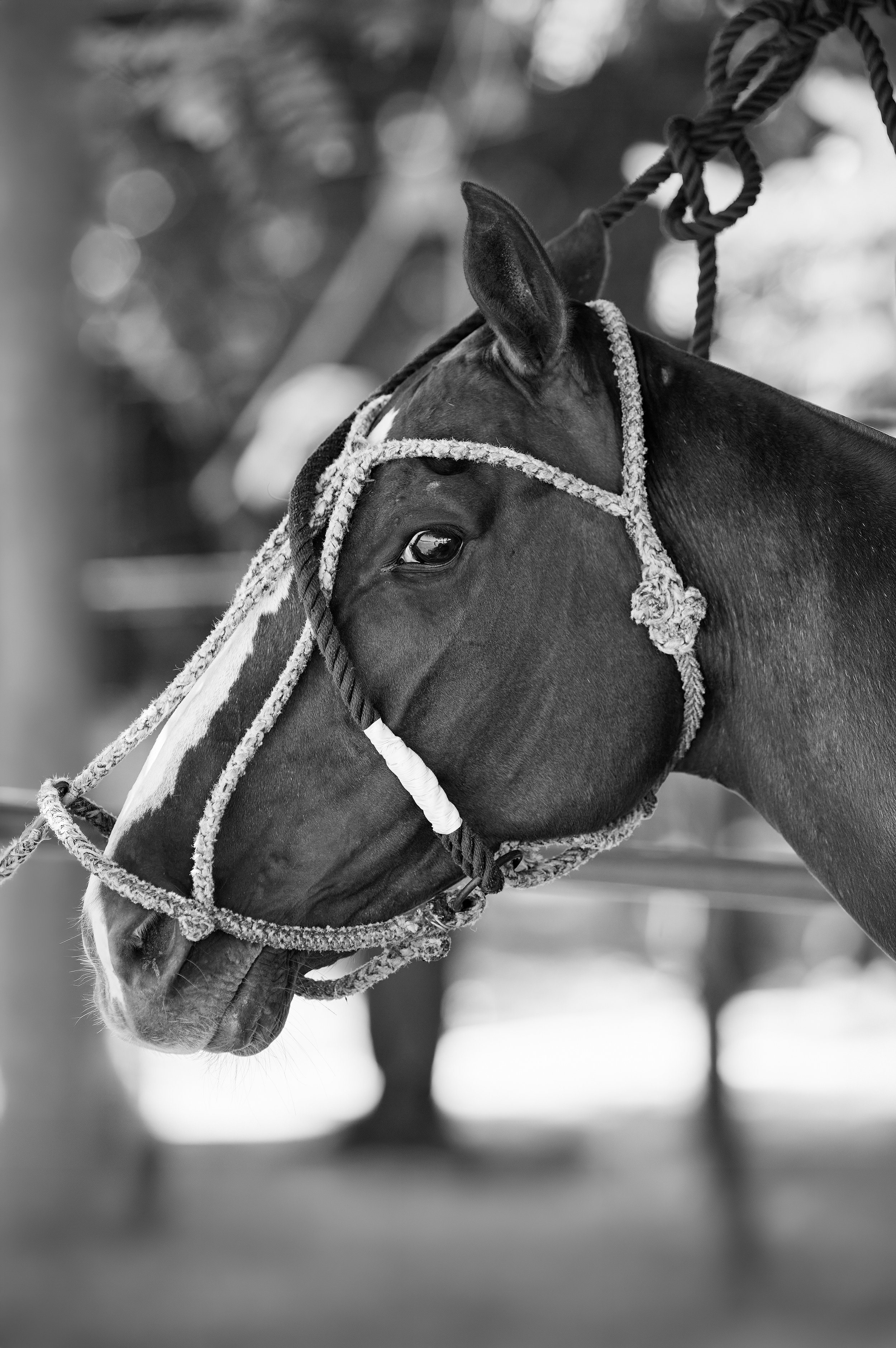 Richard_Moran_2026_POLO_011.jpg