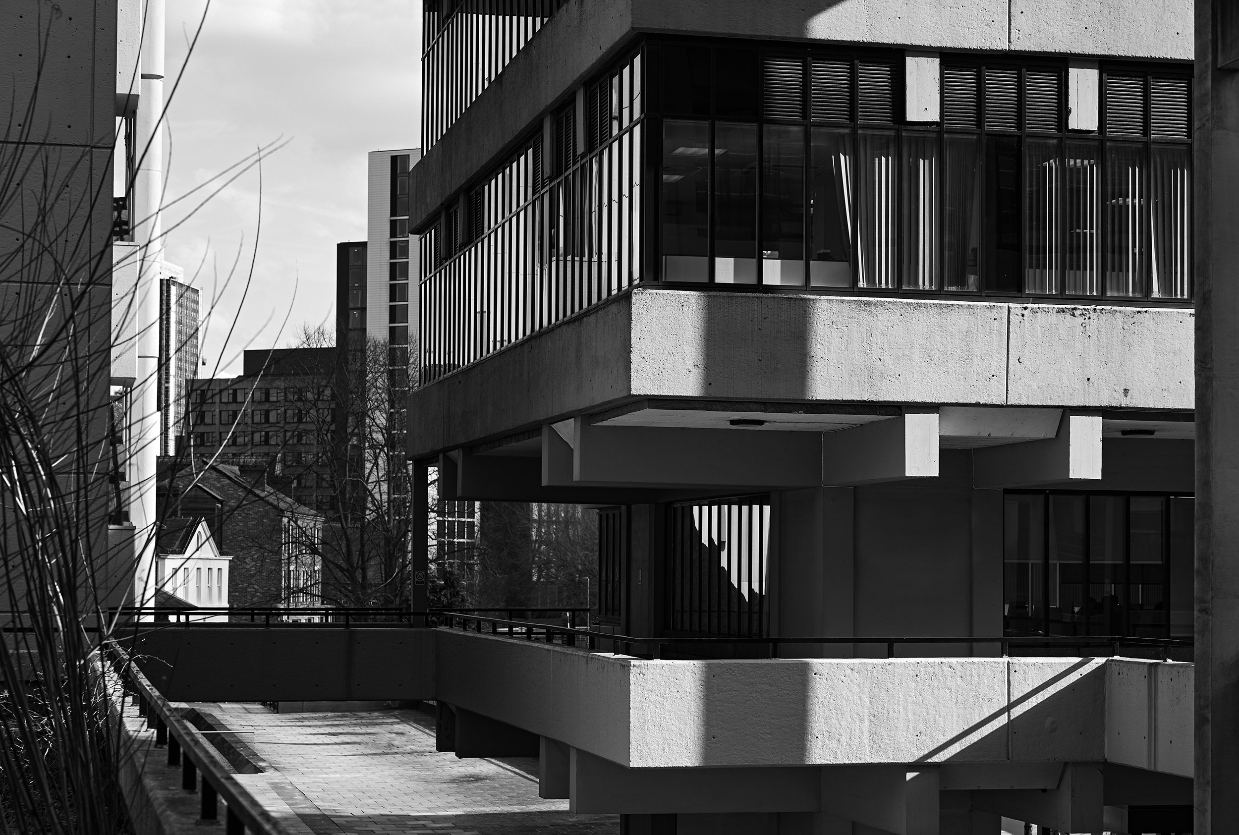 Irene Manton Building 1.jpg