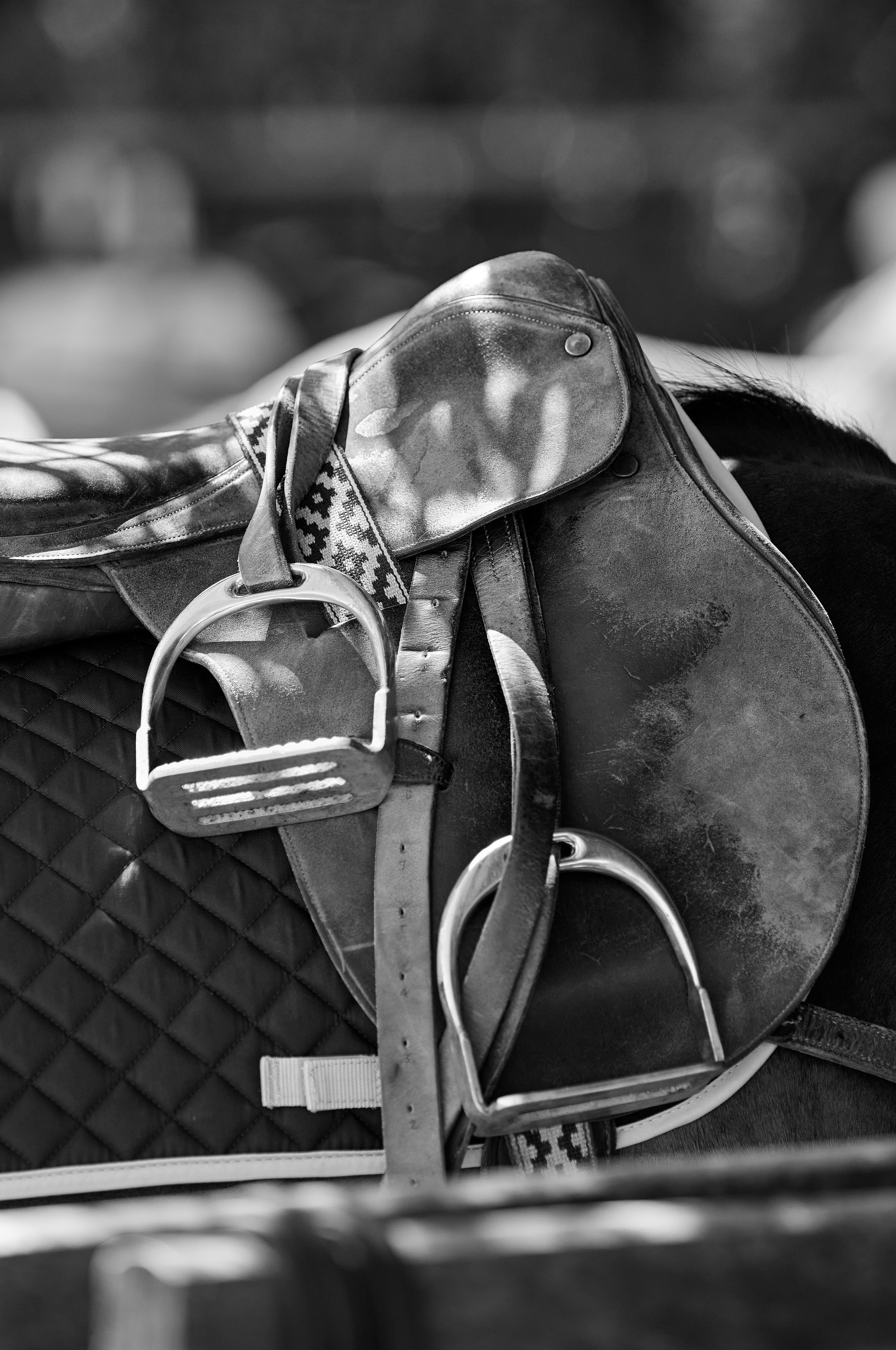 Richard_Moran_2026_POLO_012.jpg