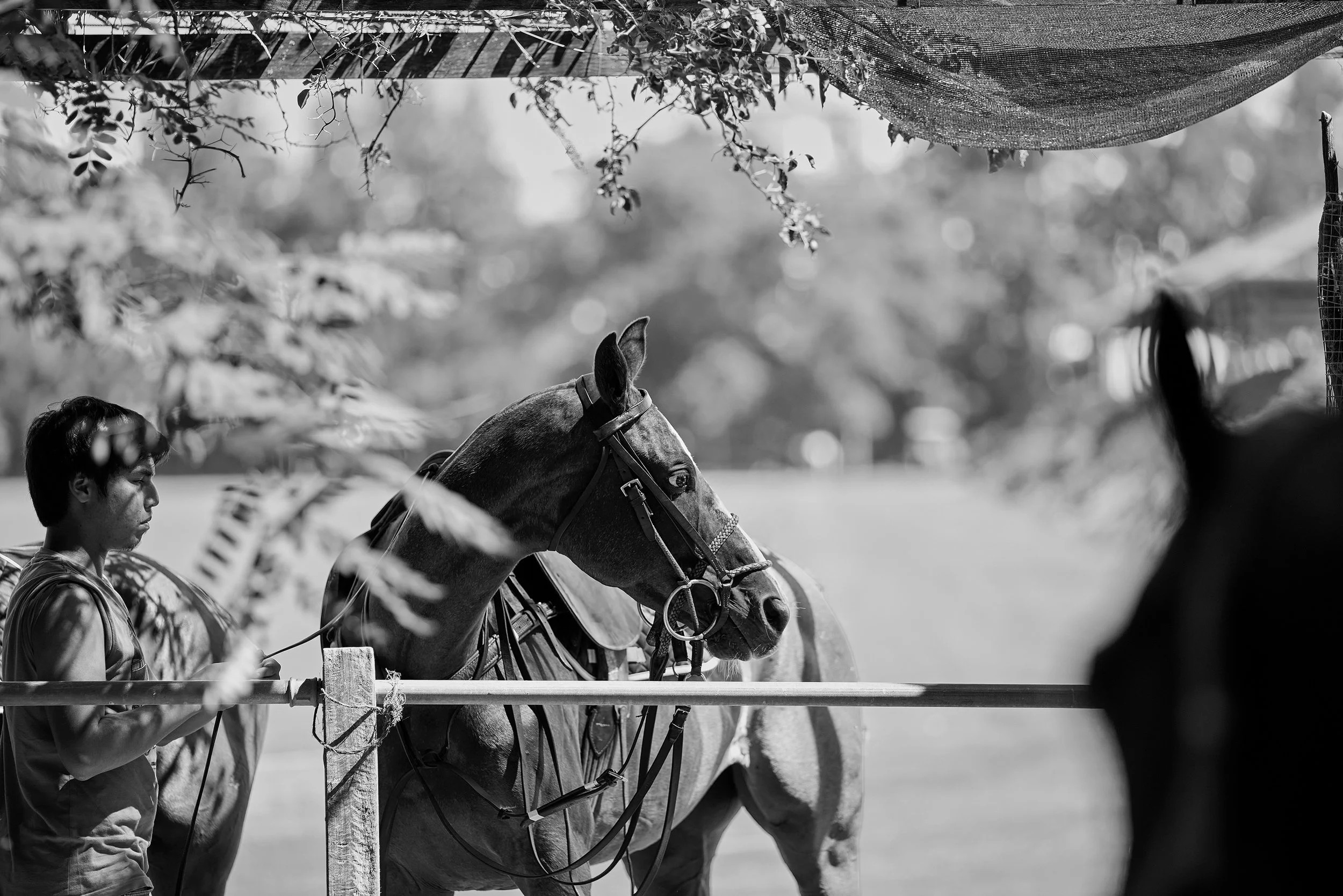Richard_Moran_2026_POLO_013.jpg