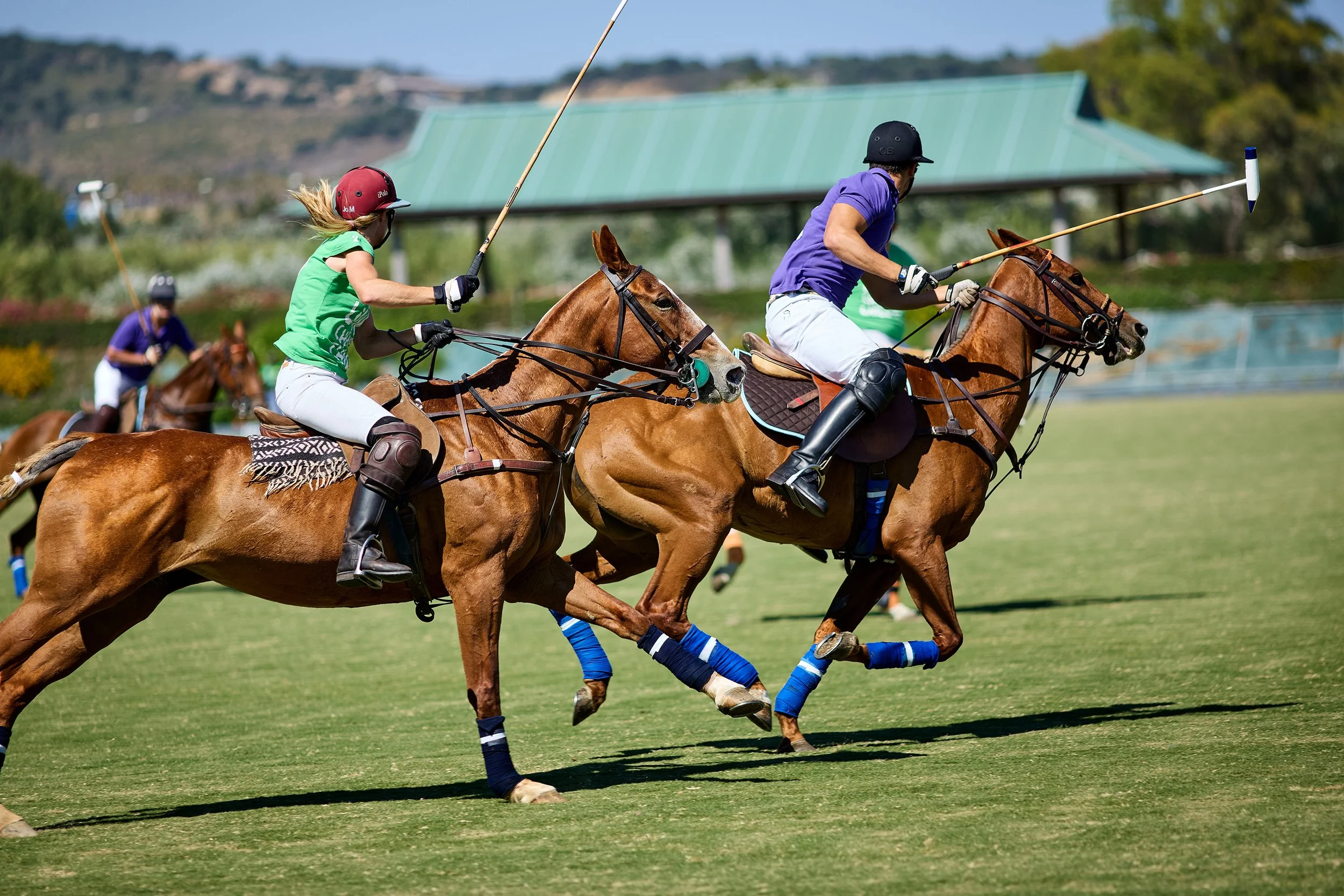 Richard_Moran_2026_POLO_001.jpg