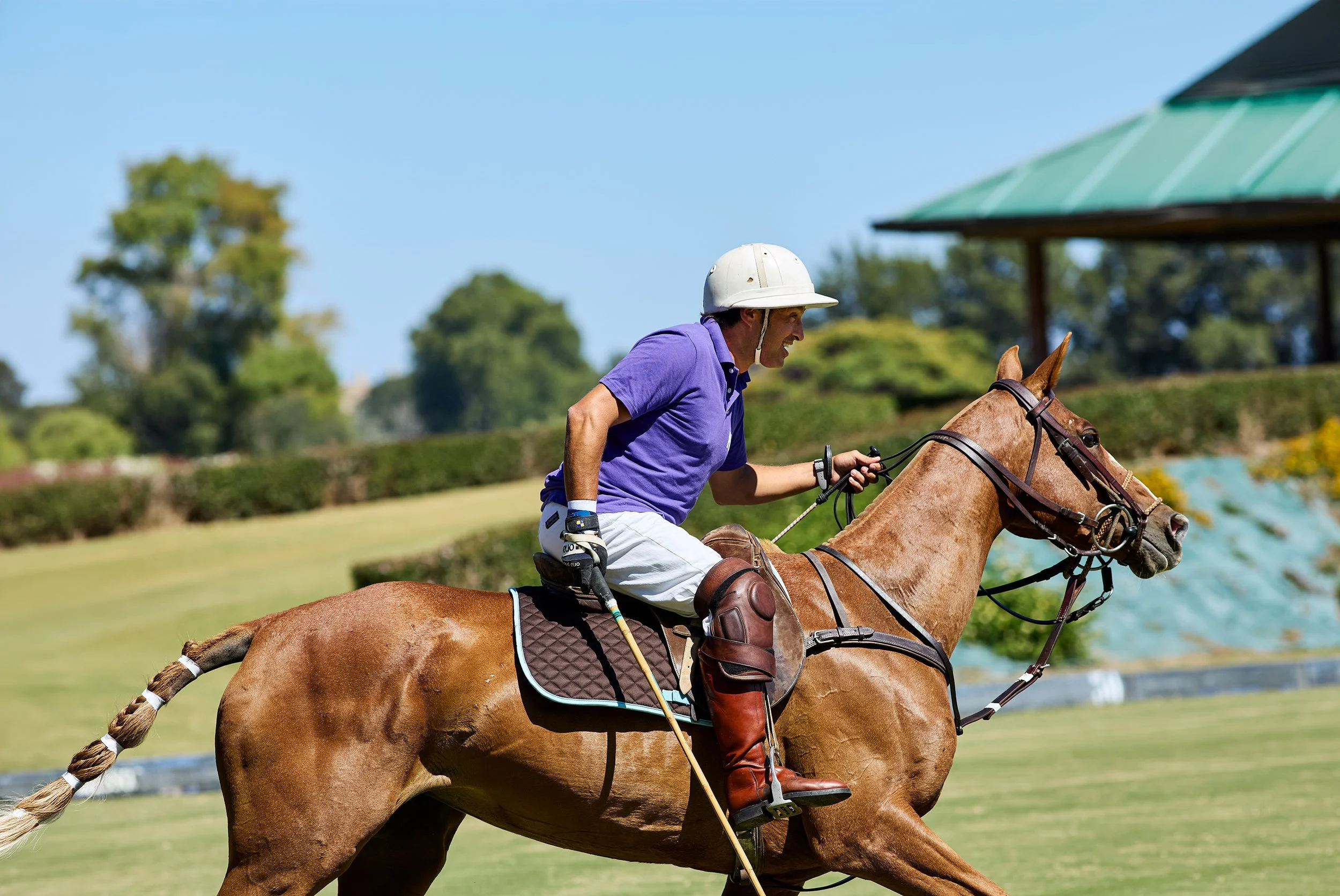 Richard_Moran_2026_POLO_006.jpg