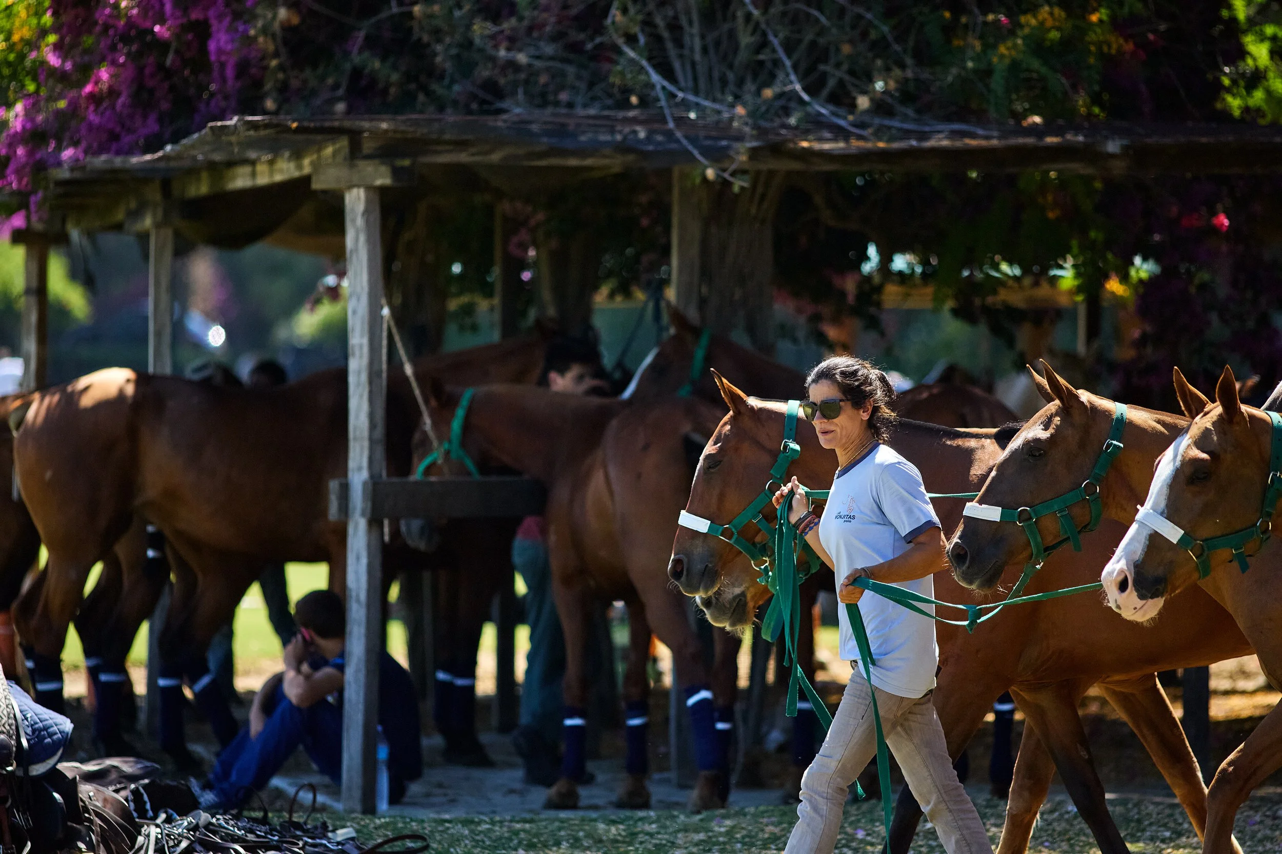 Richard_Moran_2026_POLO_010.jpg