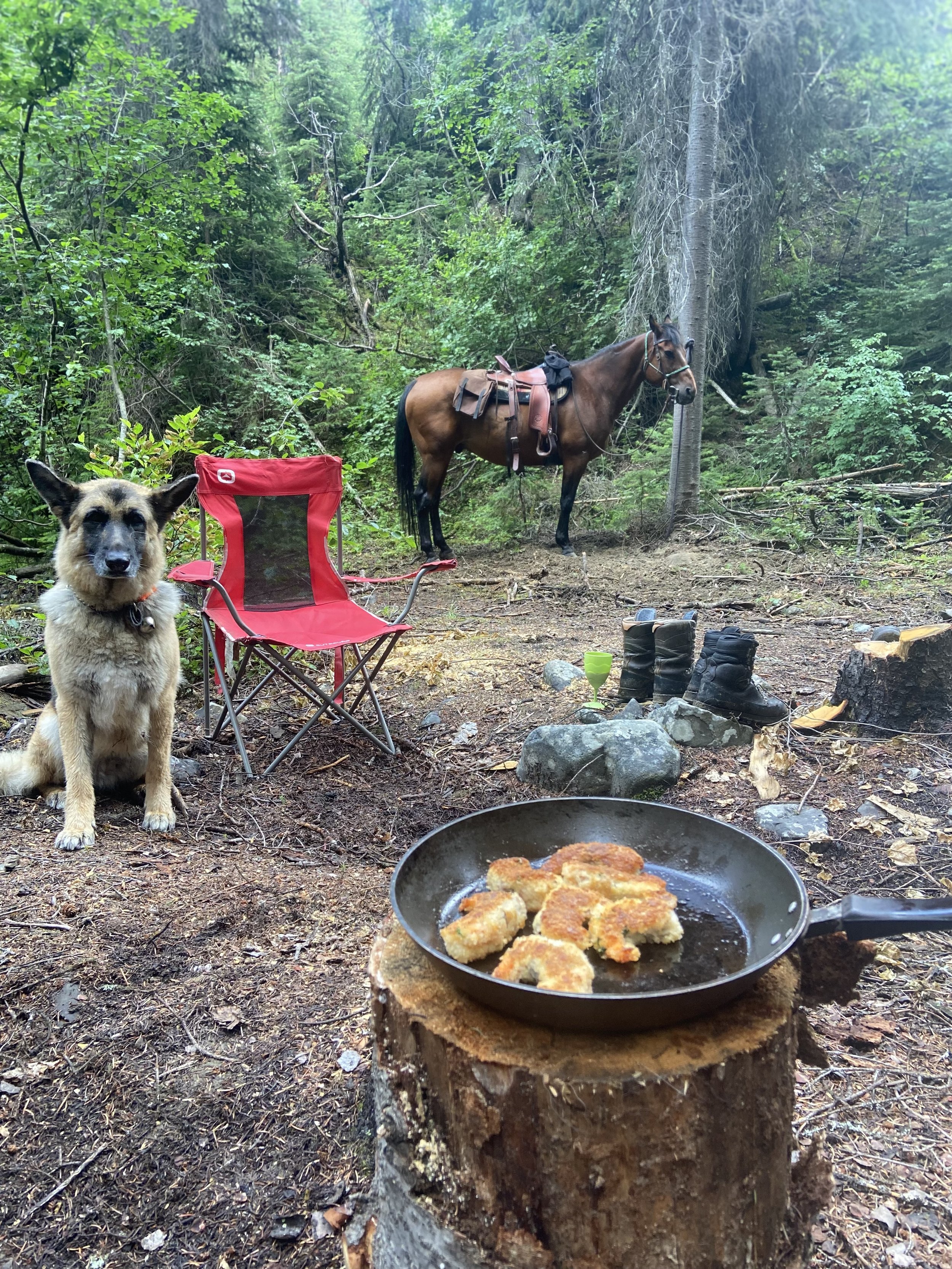 A group of people enjoying a horseback ride while holding delicious prosciutto and basil wrapped prawns.