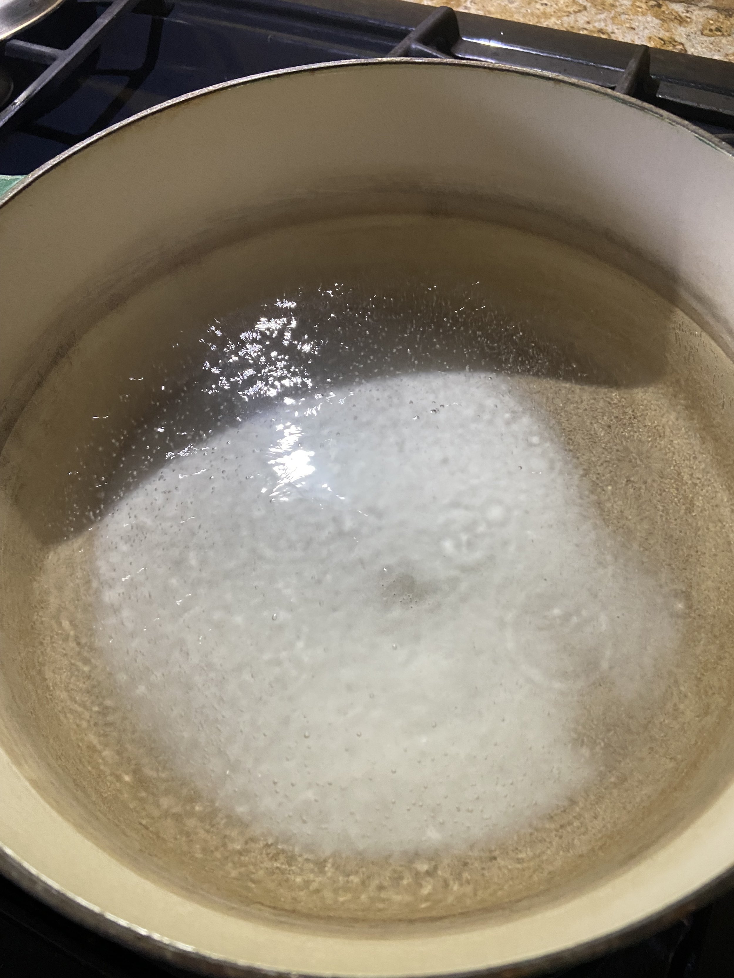 IMG_8027.jpeg