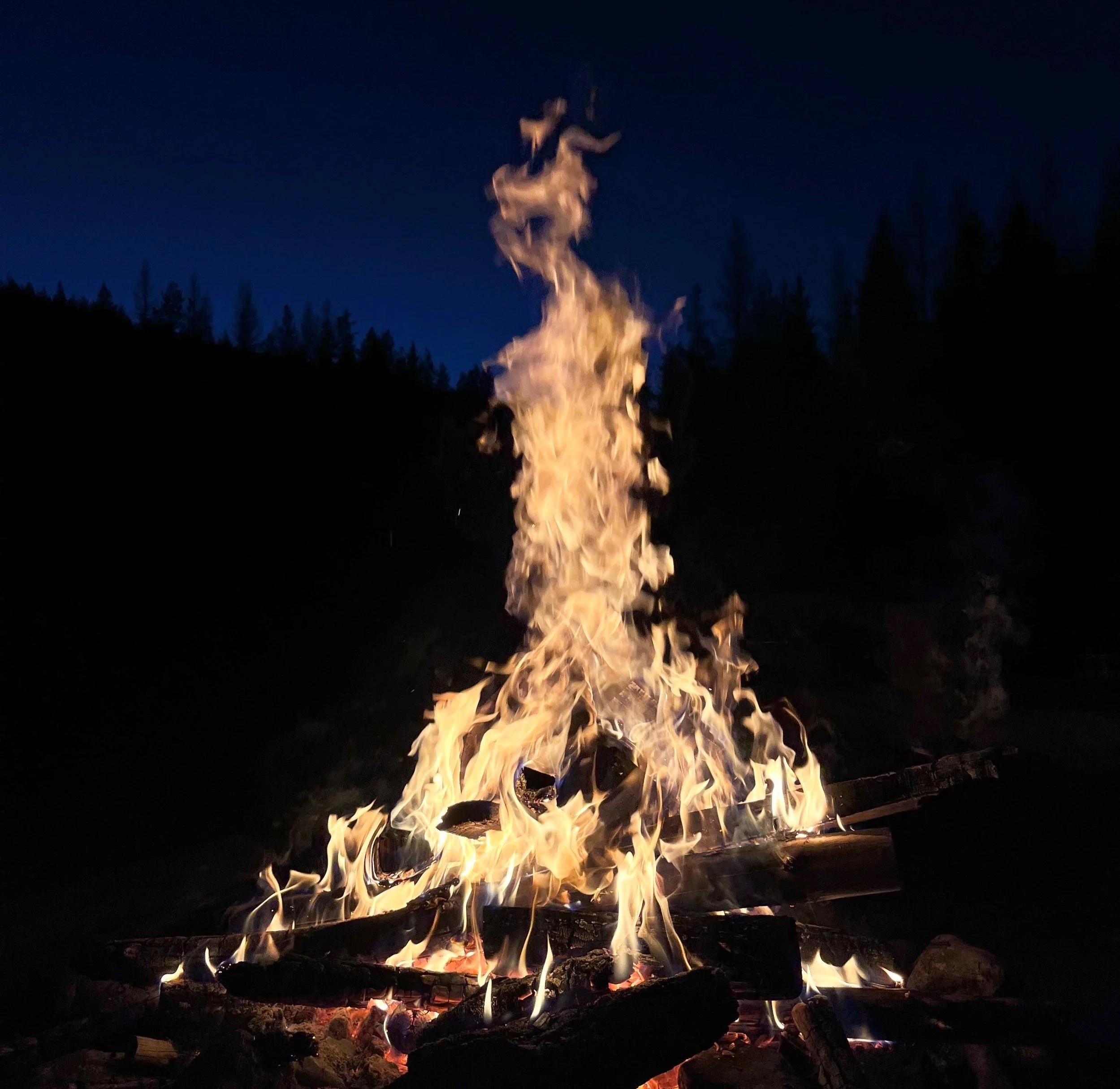 Large campfire in the woods at night.
