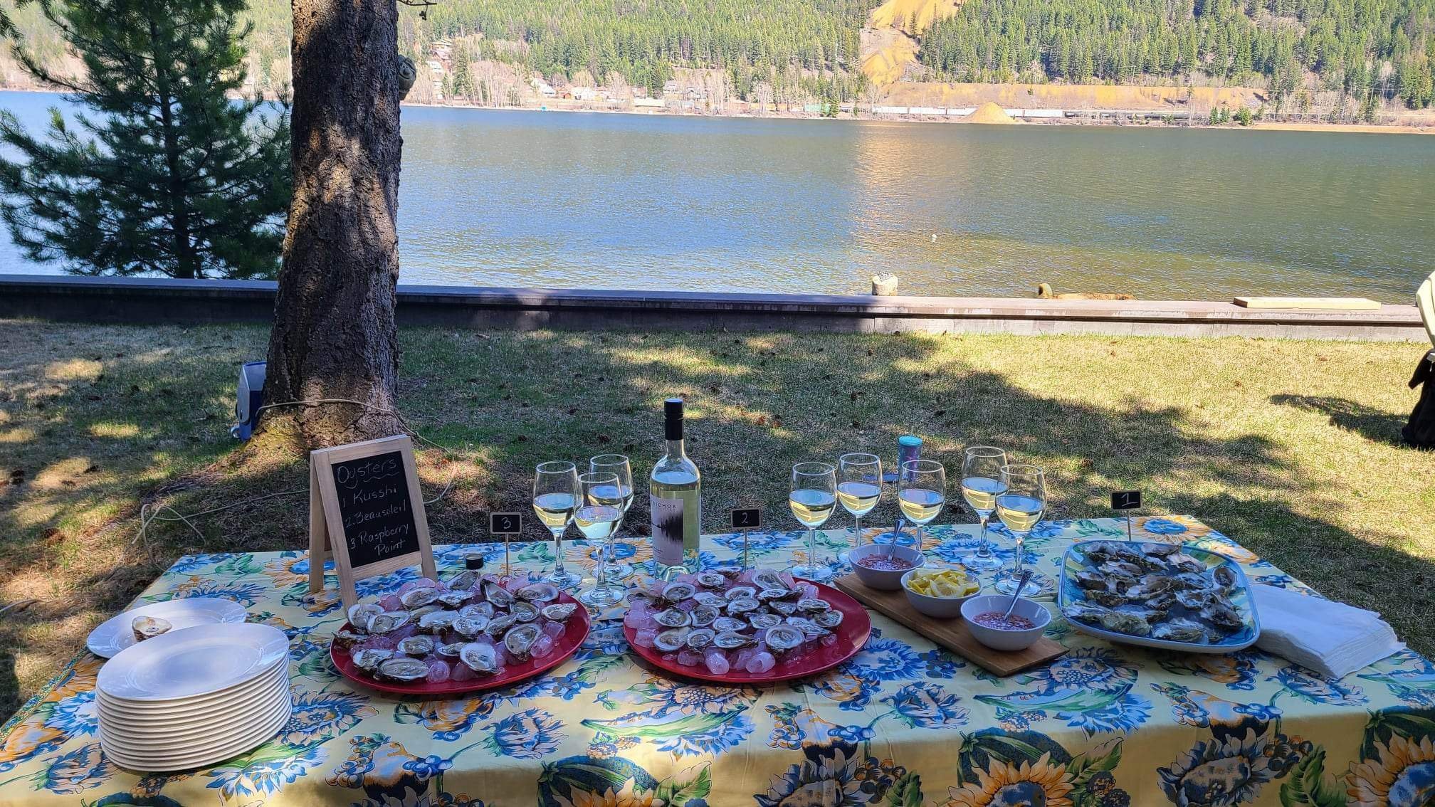 Sauvignon Blanc in wine glasses with fresh oysters lakeside