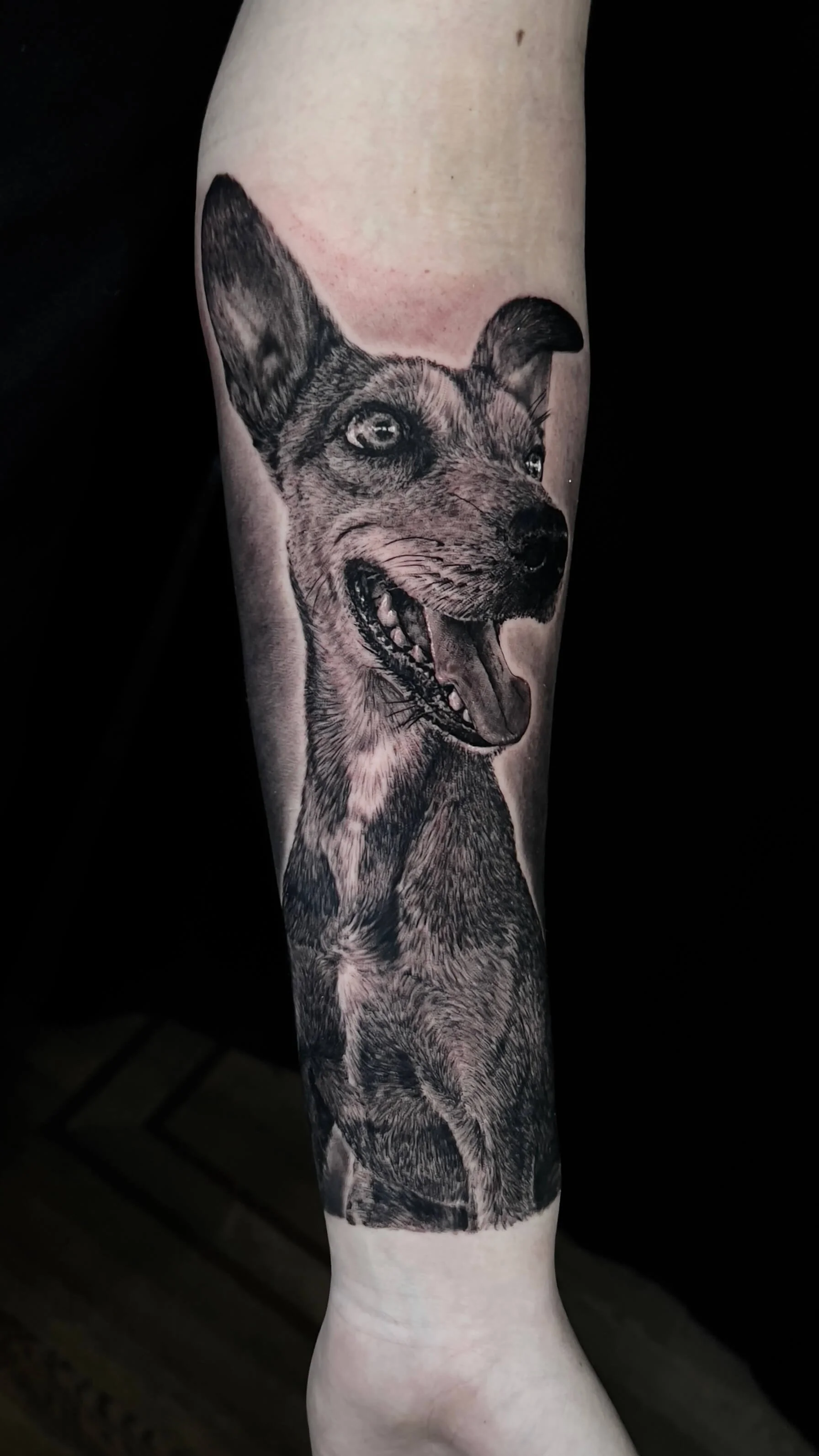 Dog portrait realism tattoo on the forearm by Etgar Oak