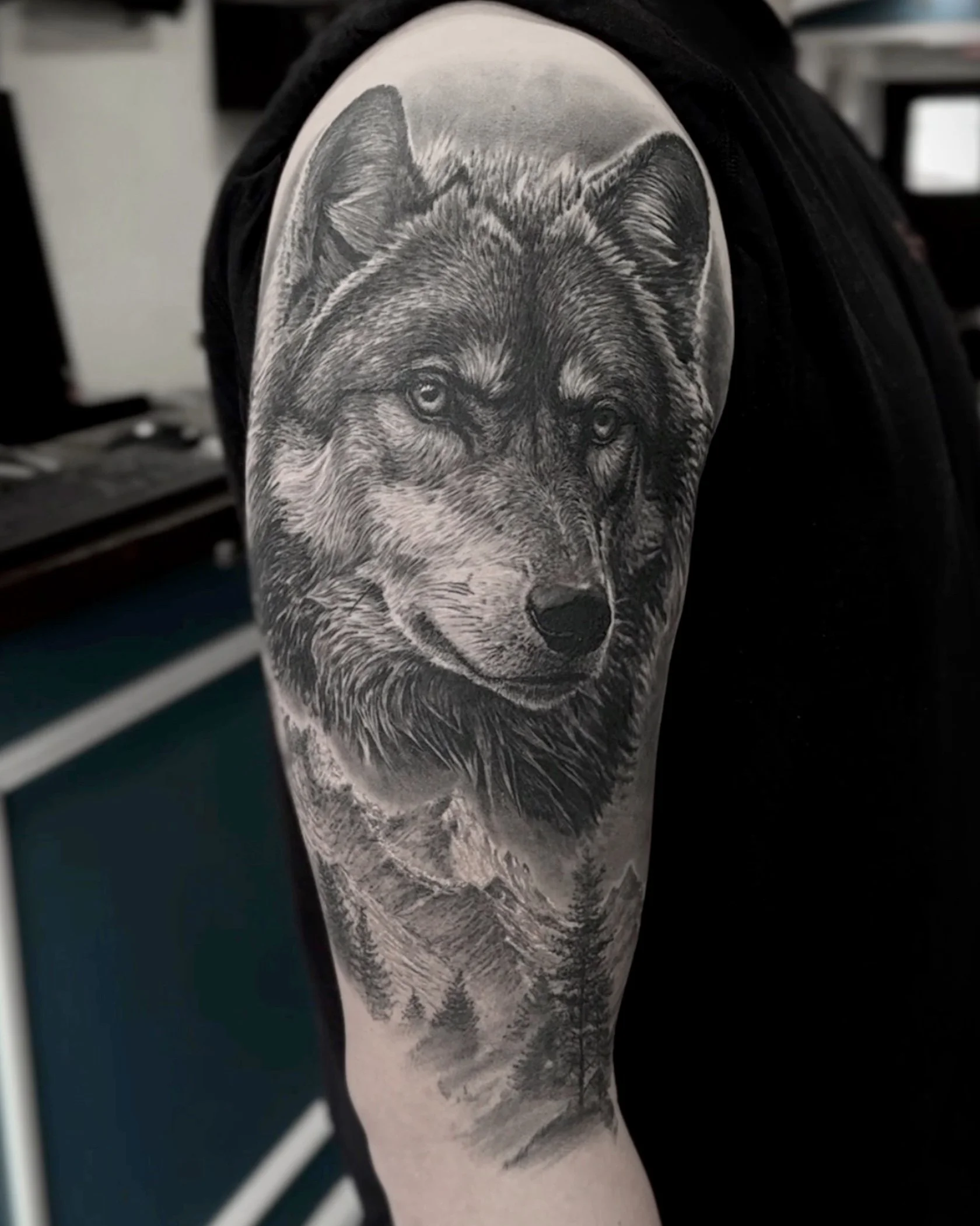 Healed wolf realism tattoo on the upper arm by Etgar Oak
