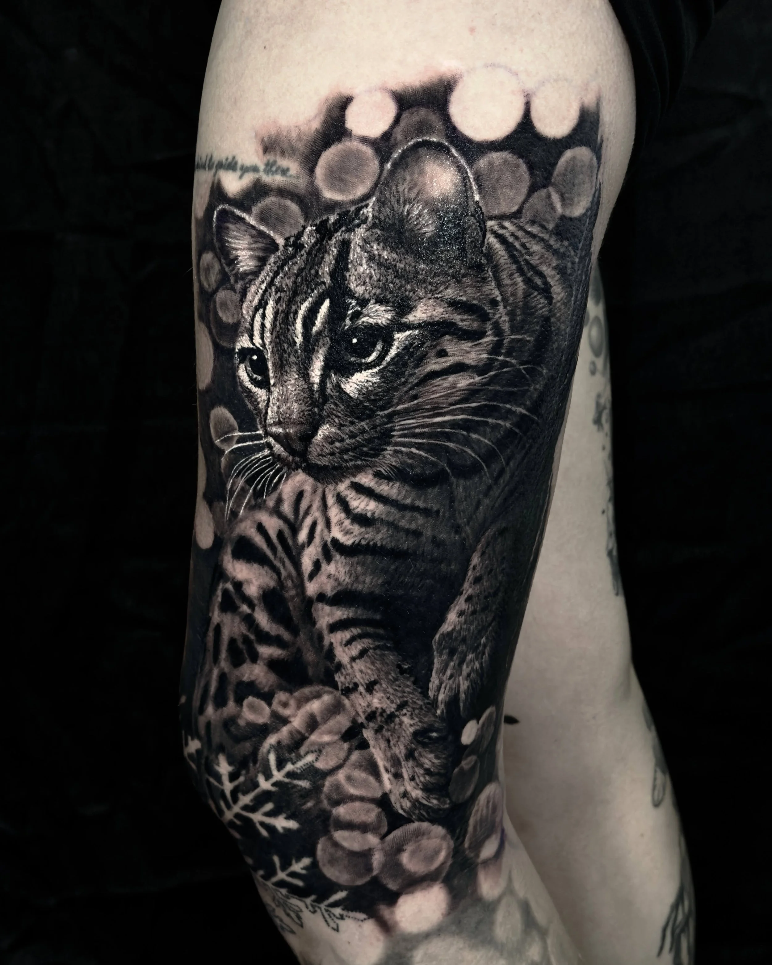Spotted cat with bokeh lights realism tattoo on the arm by Etgar Oak
