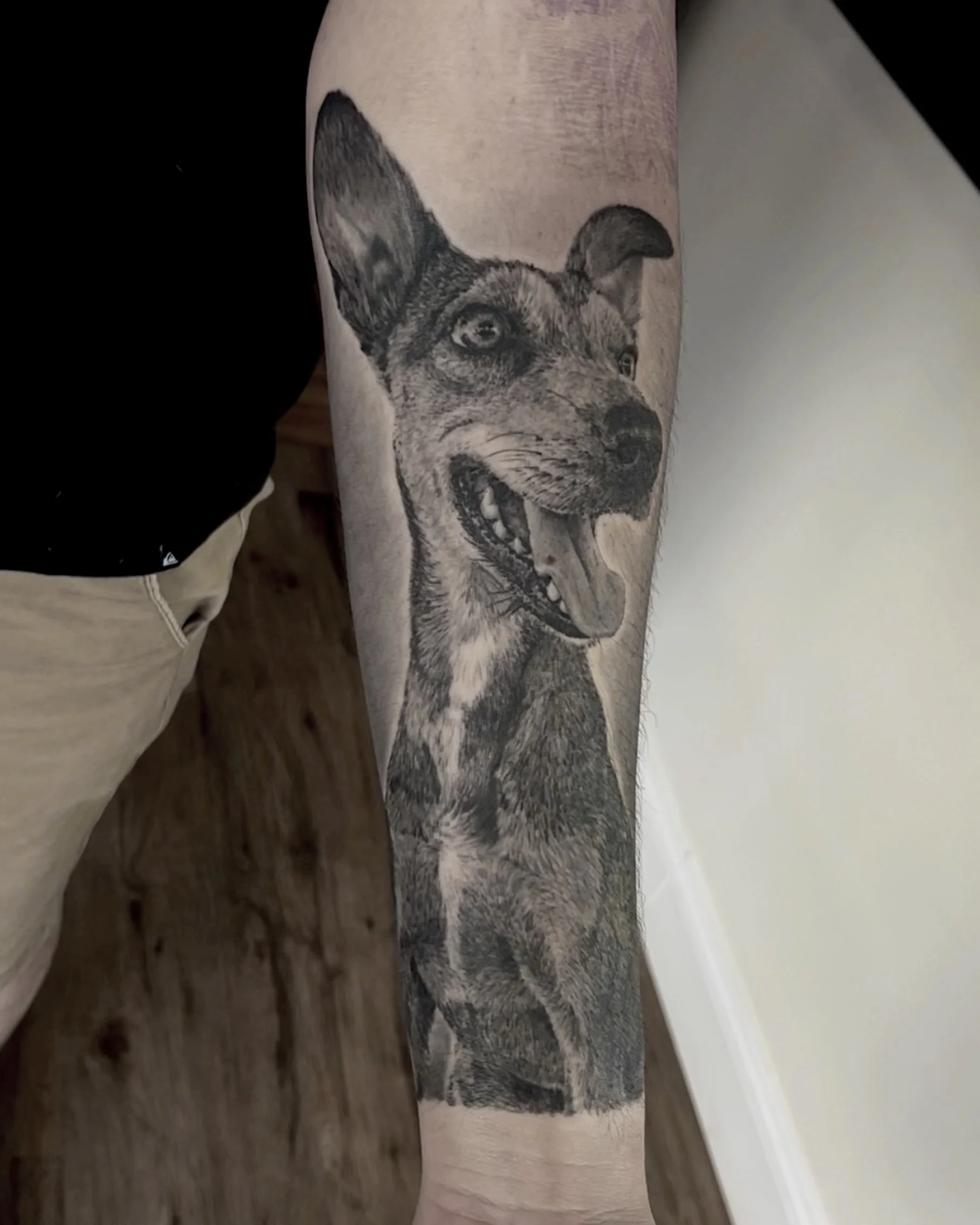 Healed dog portrait realism tattoo on the forearm by Etgar Oak