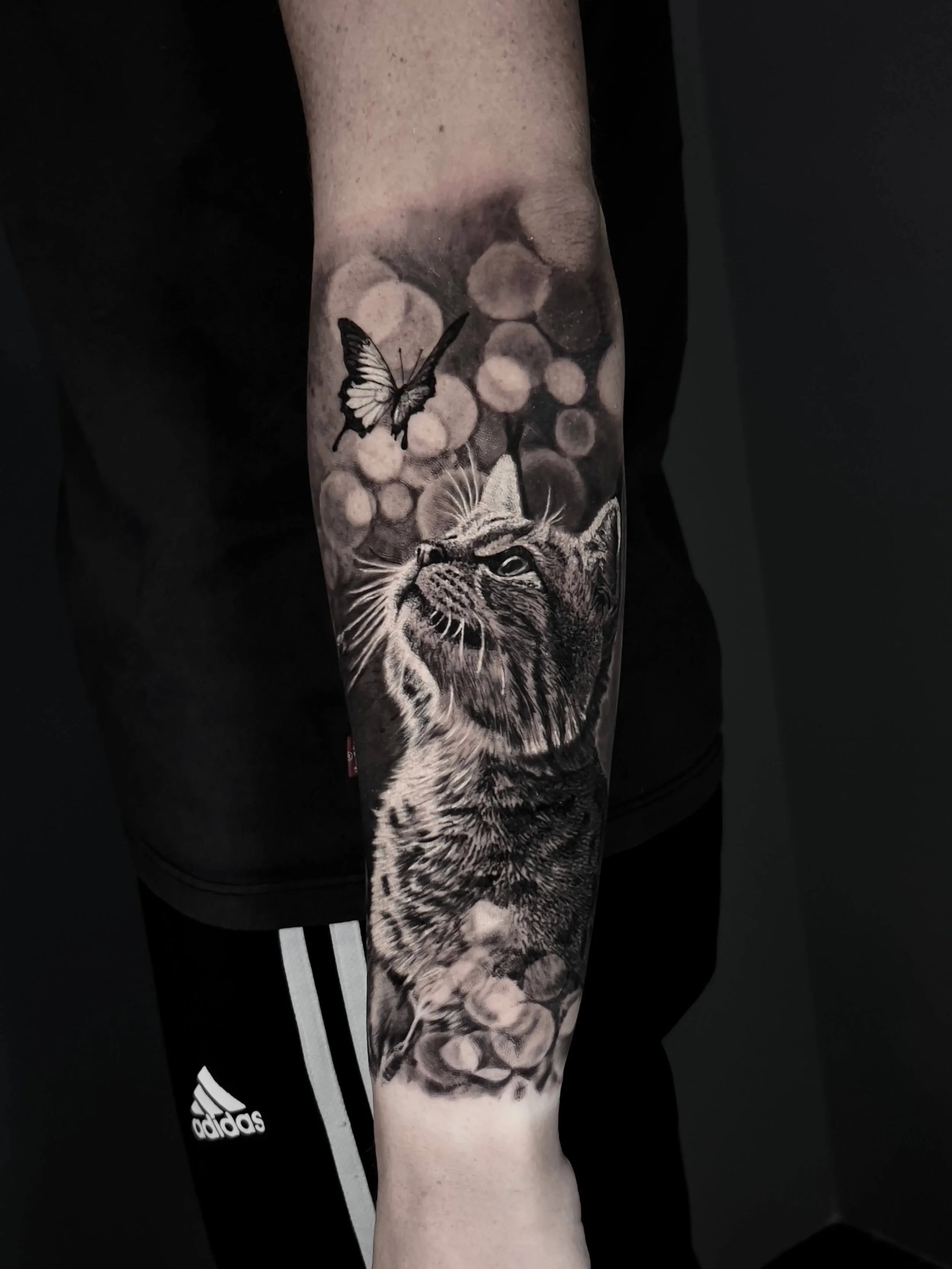 Cat and butterfly realism tattoo on the forearm by Etgar Oak