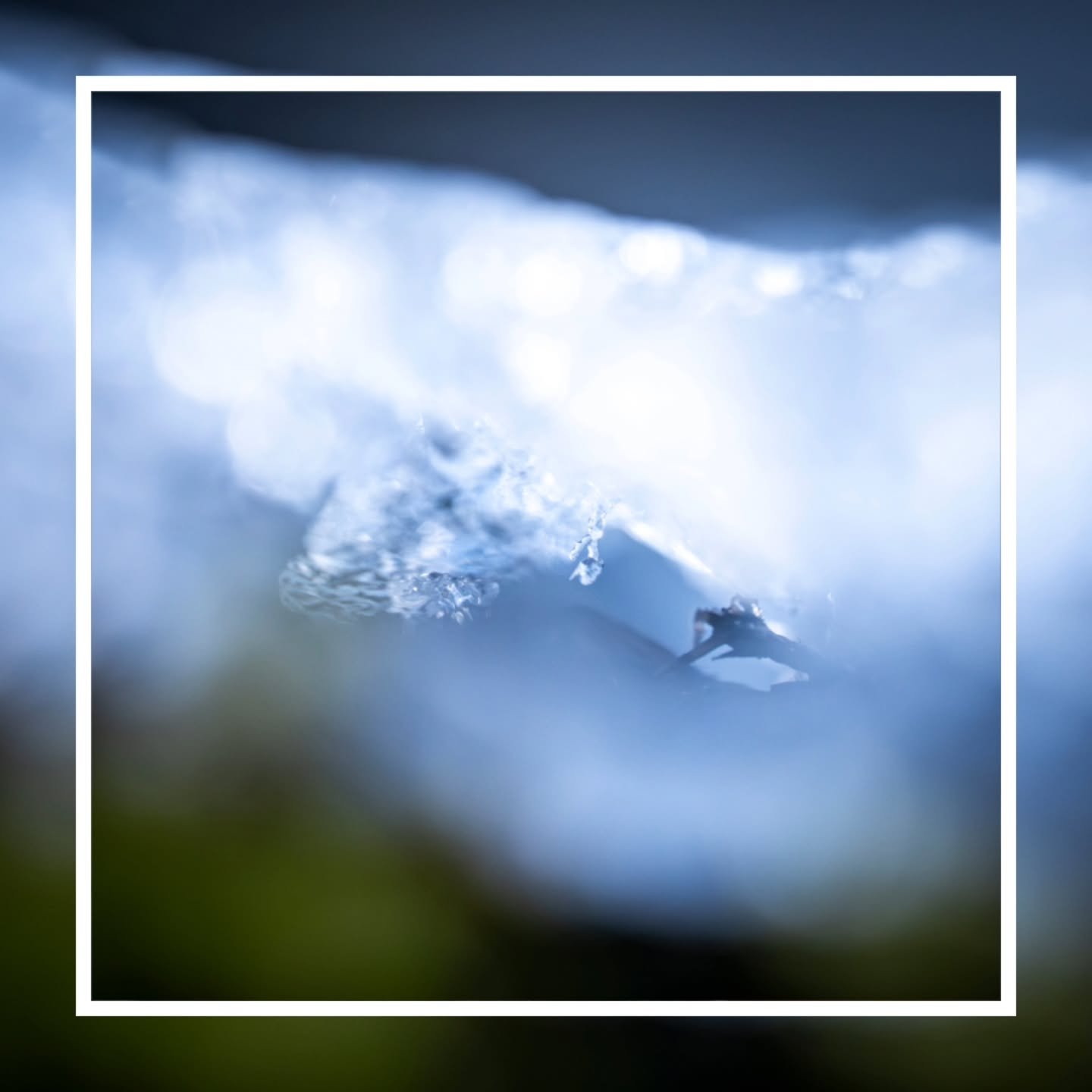 Sometimes, out of focus images are the best 👌 

One of the benefits of macro photography is the shallow depth of field and how the slighted bit of movement can create a soft image...

Yes, you read right...the benefits! 

Despite this image being sl
