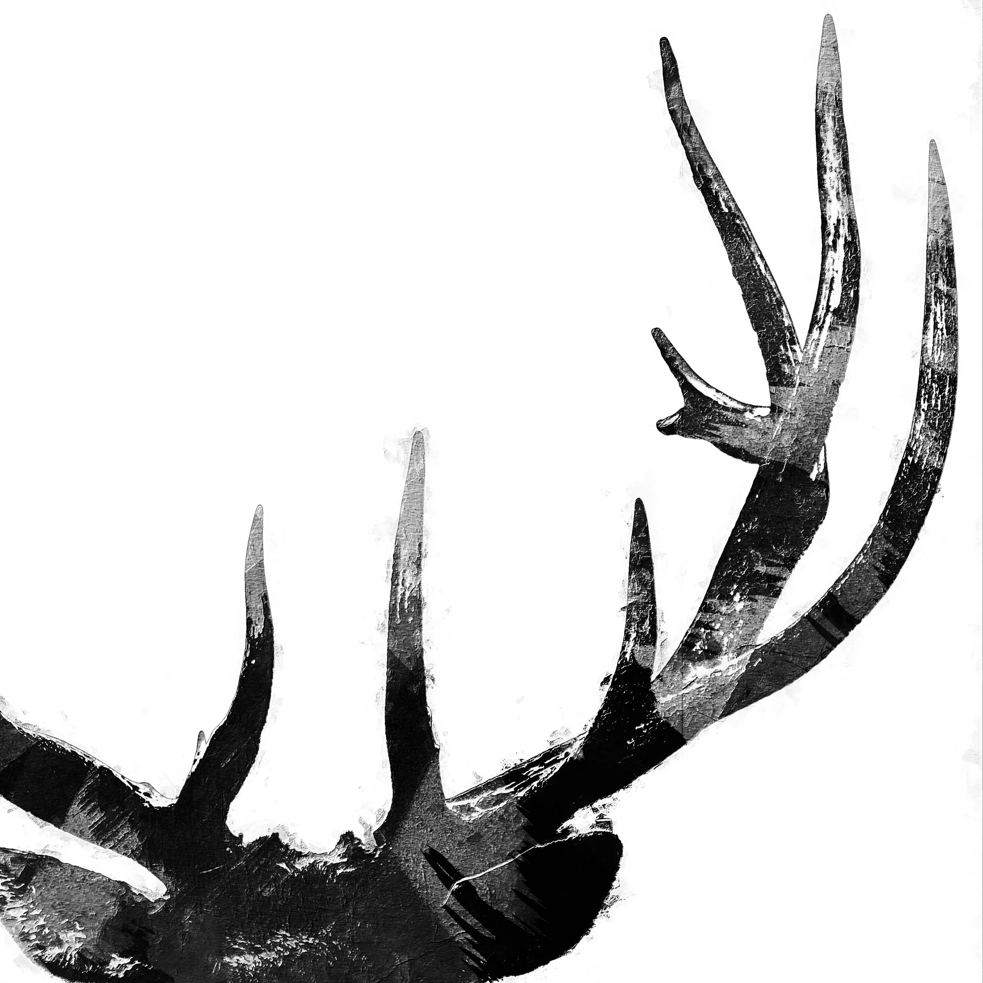 Ghost of the Timber Detail.jpg