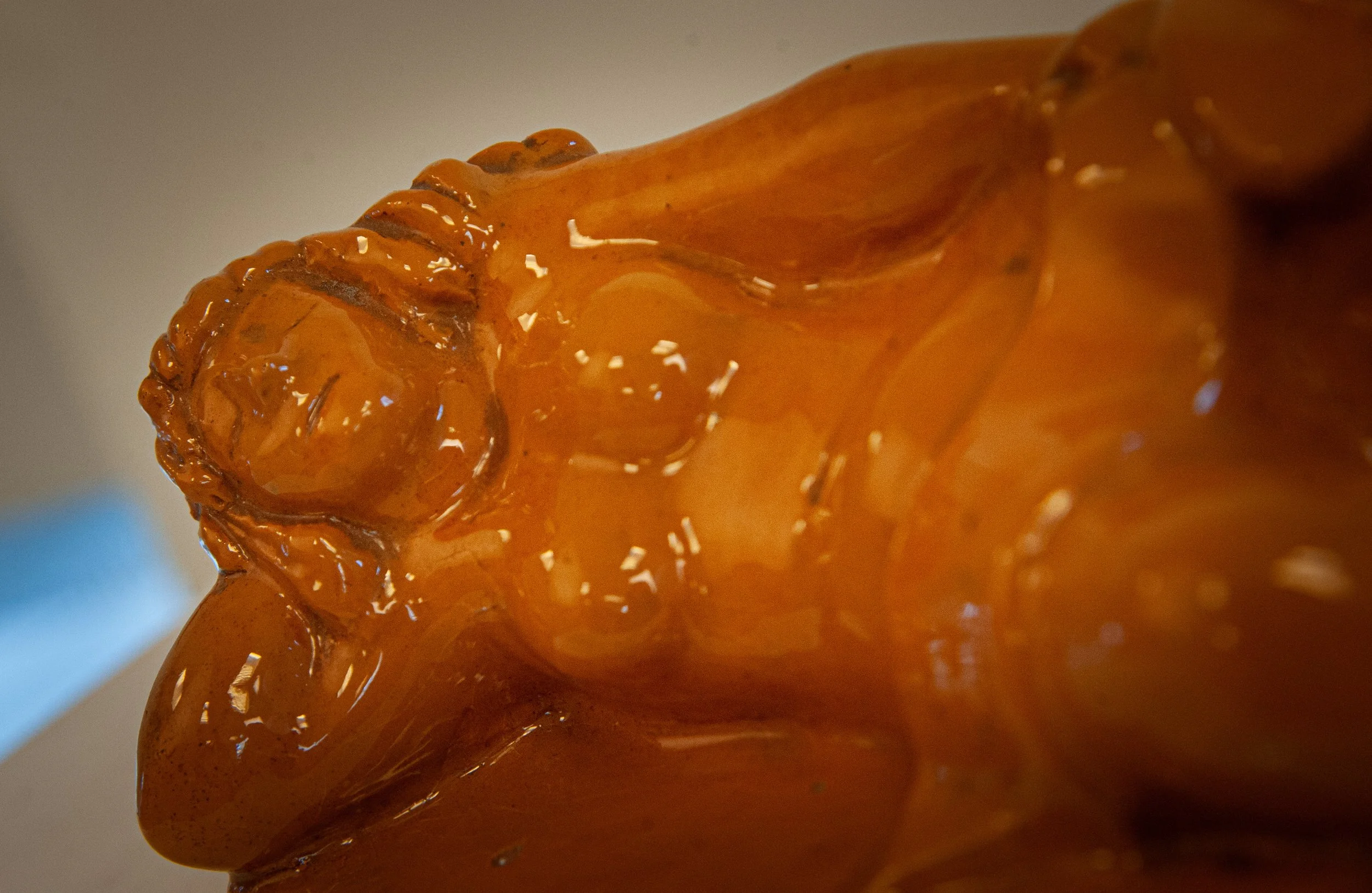 Copy of MCARA_001.jpg