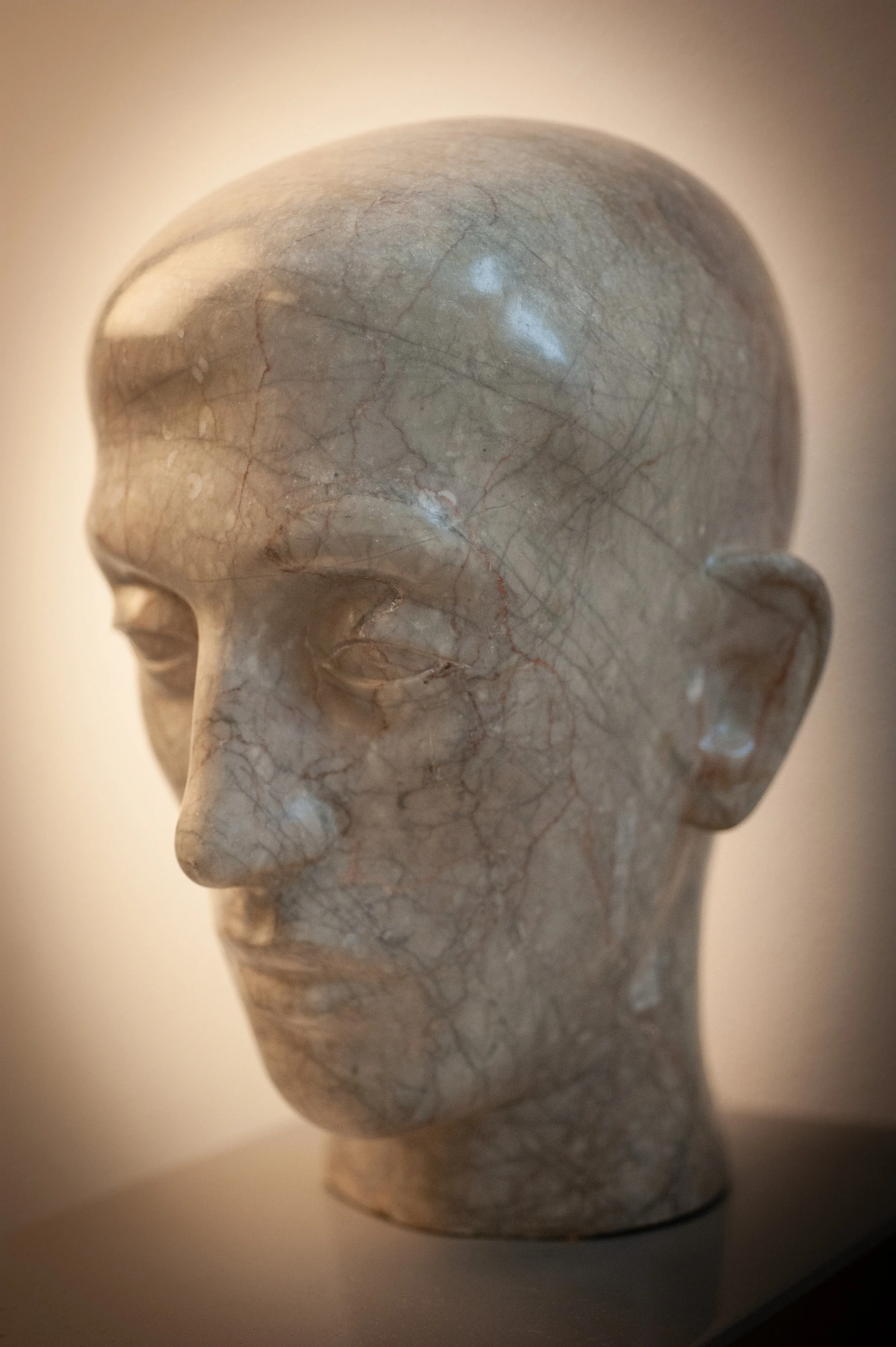 Copy of MCARA_005_D.jpg