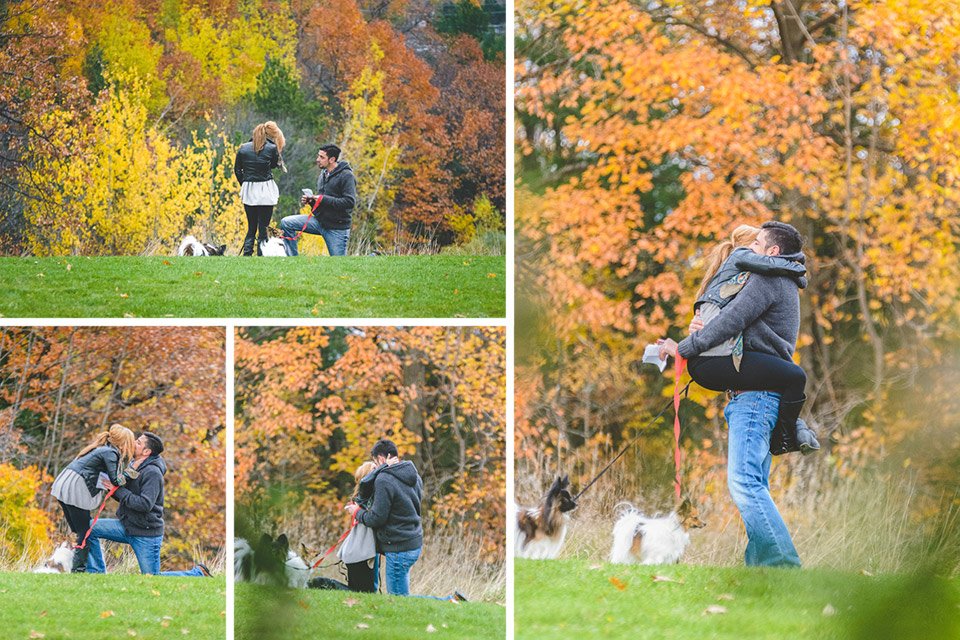 A series of photos showing how a marriage proposal works