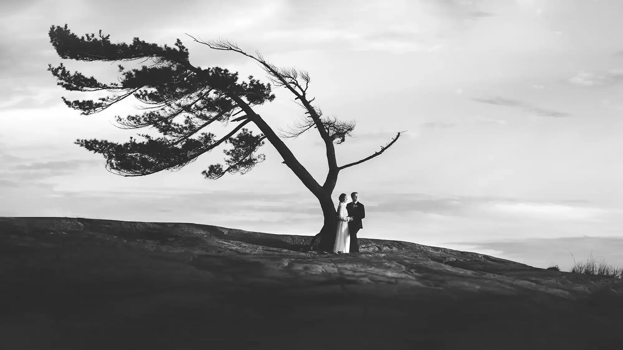 Bride and Groom posing at the Killbear Tree