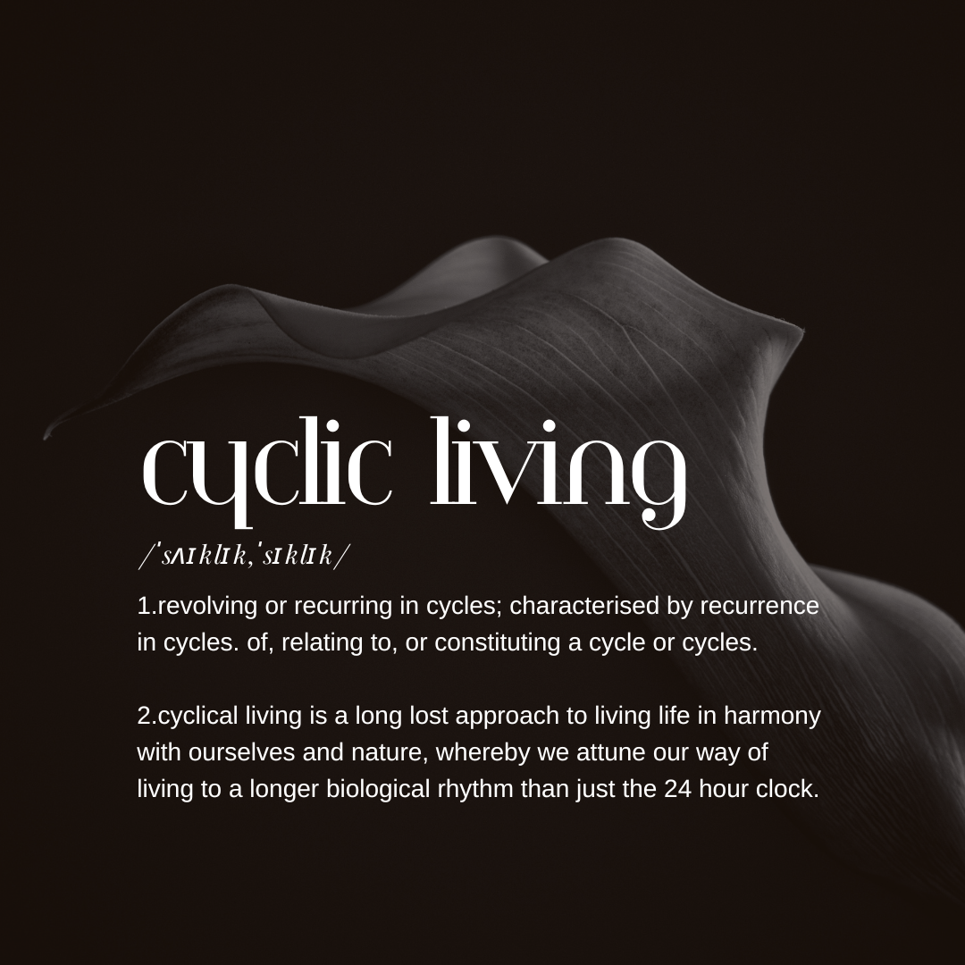 The Power of Cyclic Living: How Aligning with Nature’s Rhythms Can Transform Your Life