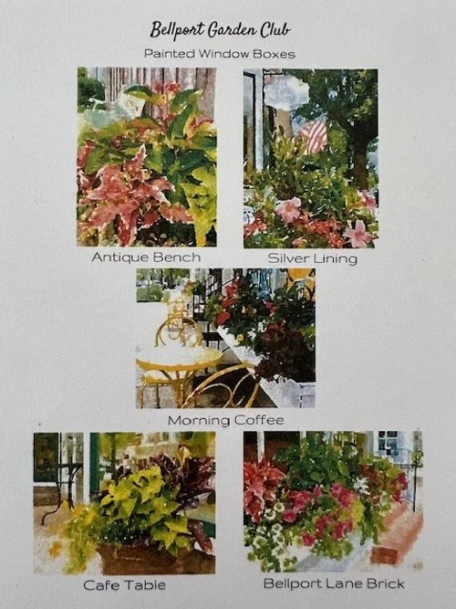 Painted Window Boxes Note Card Set