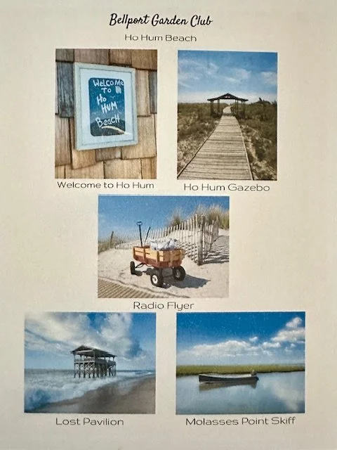 Ho Hum Beach Note Card Set