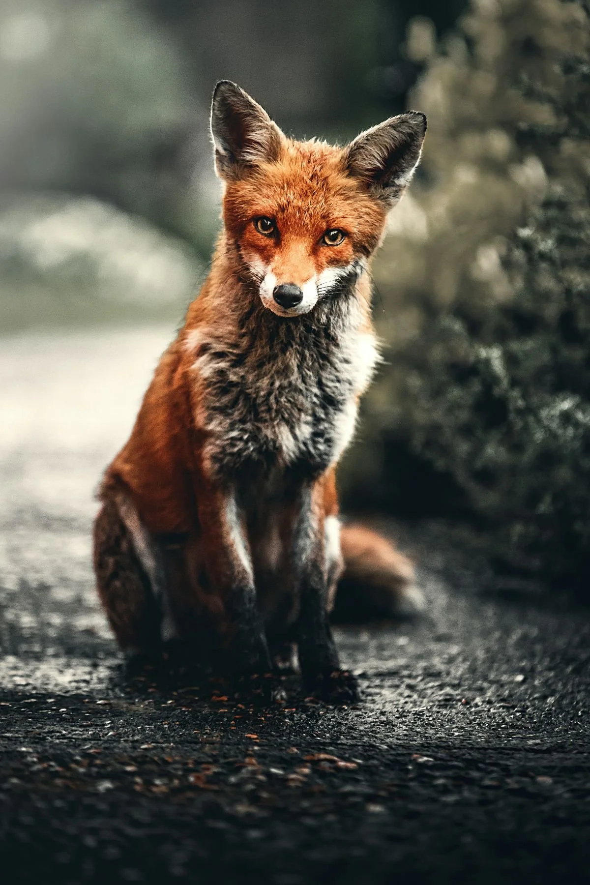 08 alexander-andrews.jpg