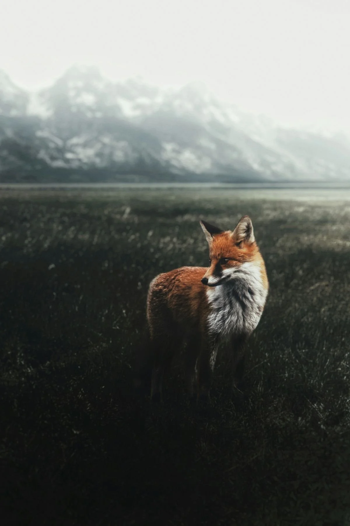 21 luis-enrique-ibarra.jpg