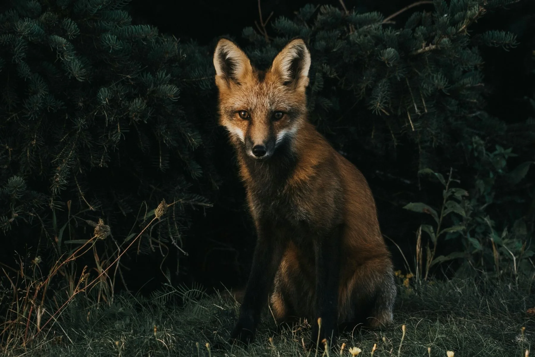 18 jeremy-vessey.jpg