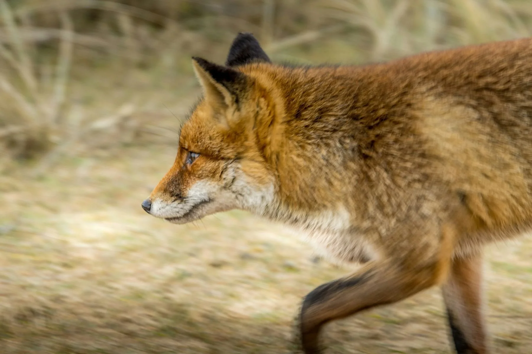 20 peter-van-der-vaart.jpg