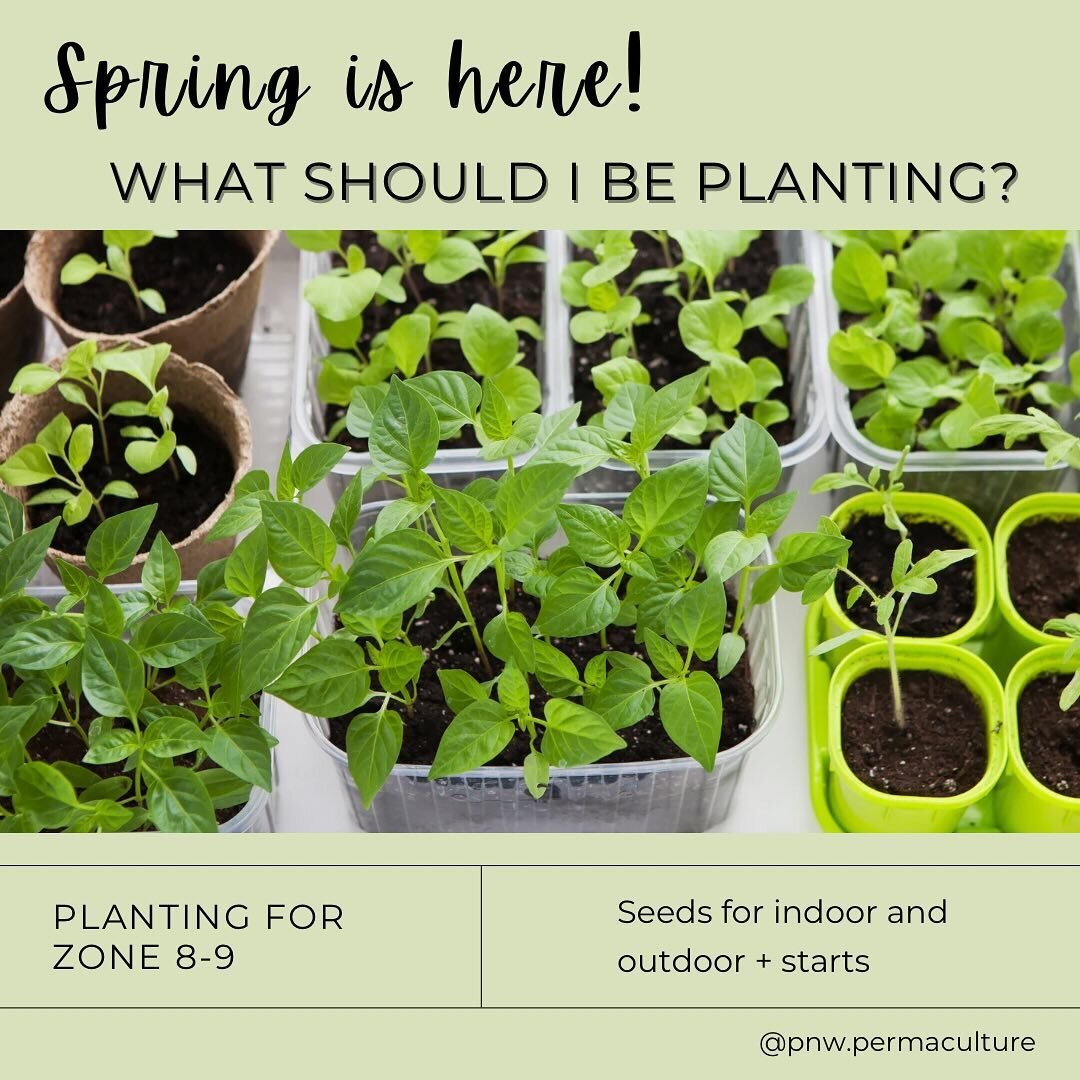 ✅Save this post for future reference! 
Spring is officially here and if you haven&rsquo;t started planting for the season now&rsquo;s the time to do it. Book a consult with me if you need help designing your garden or just need some pointers on how t