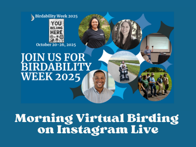 Birdability Week: Morning Virtual Birding on Instagram Live