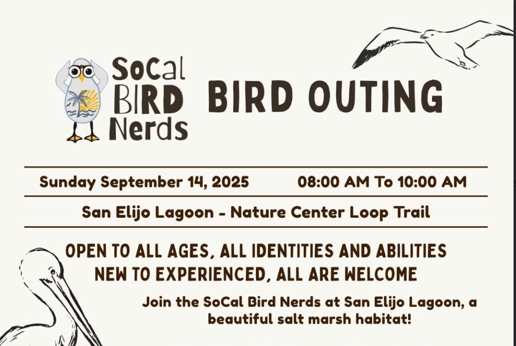 SoCal Bird Nerds - Bird Outing